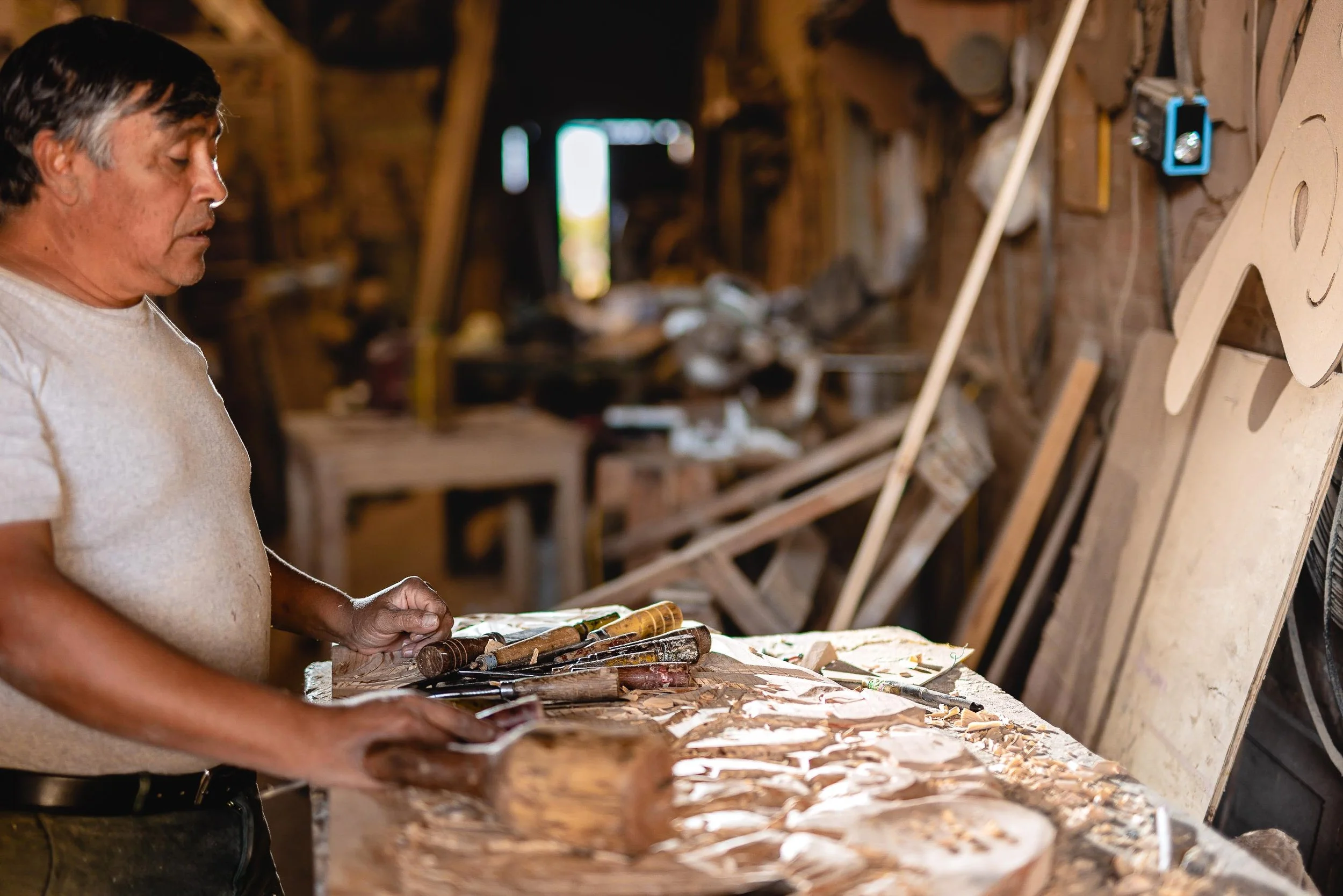 untitled -221209162056.jpg