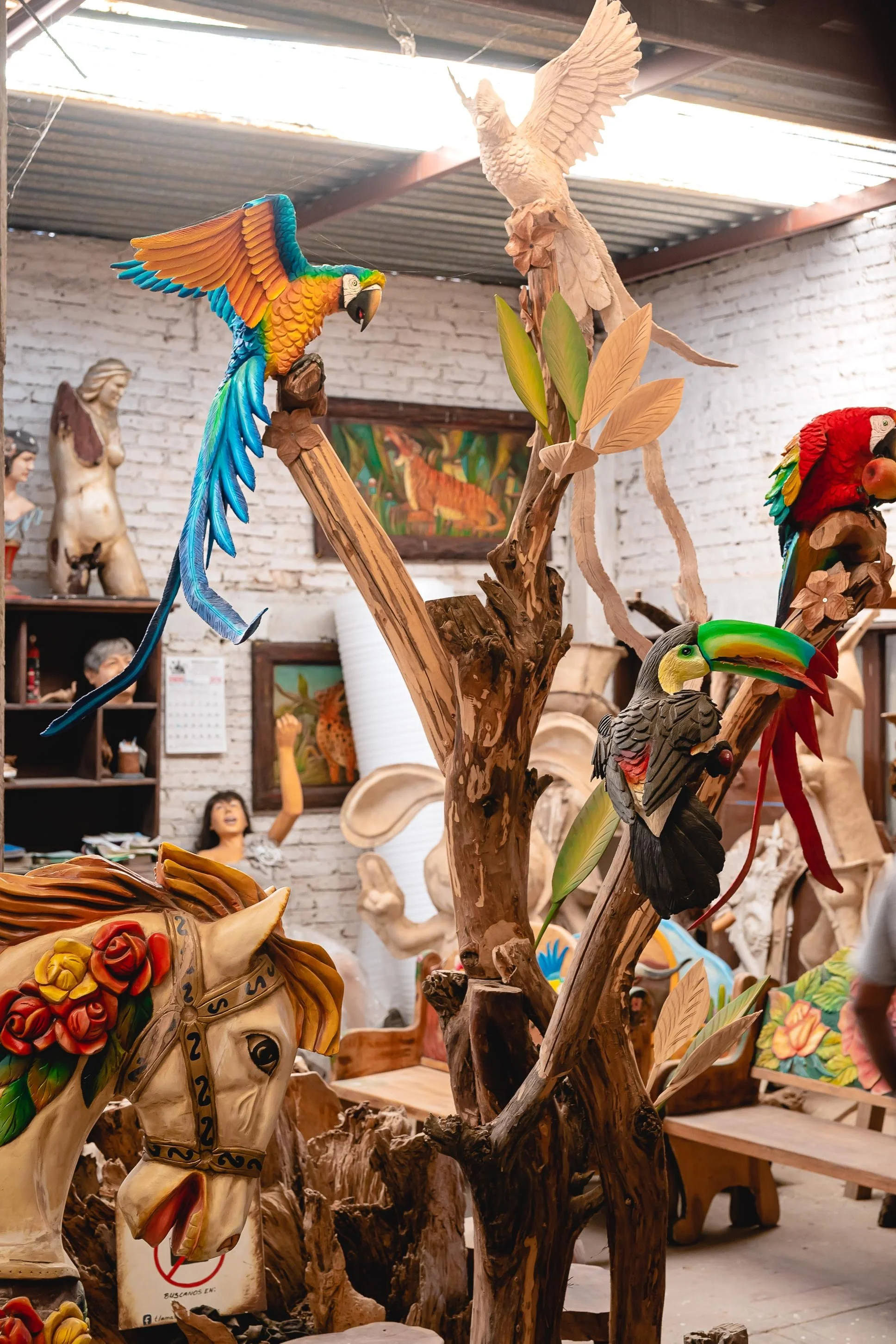 untitled -221209165111.jpg