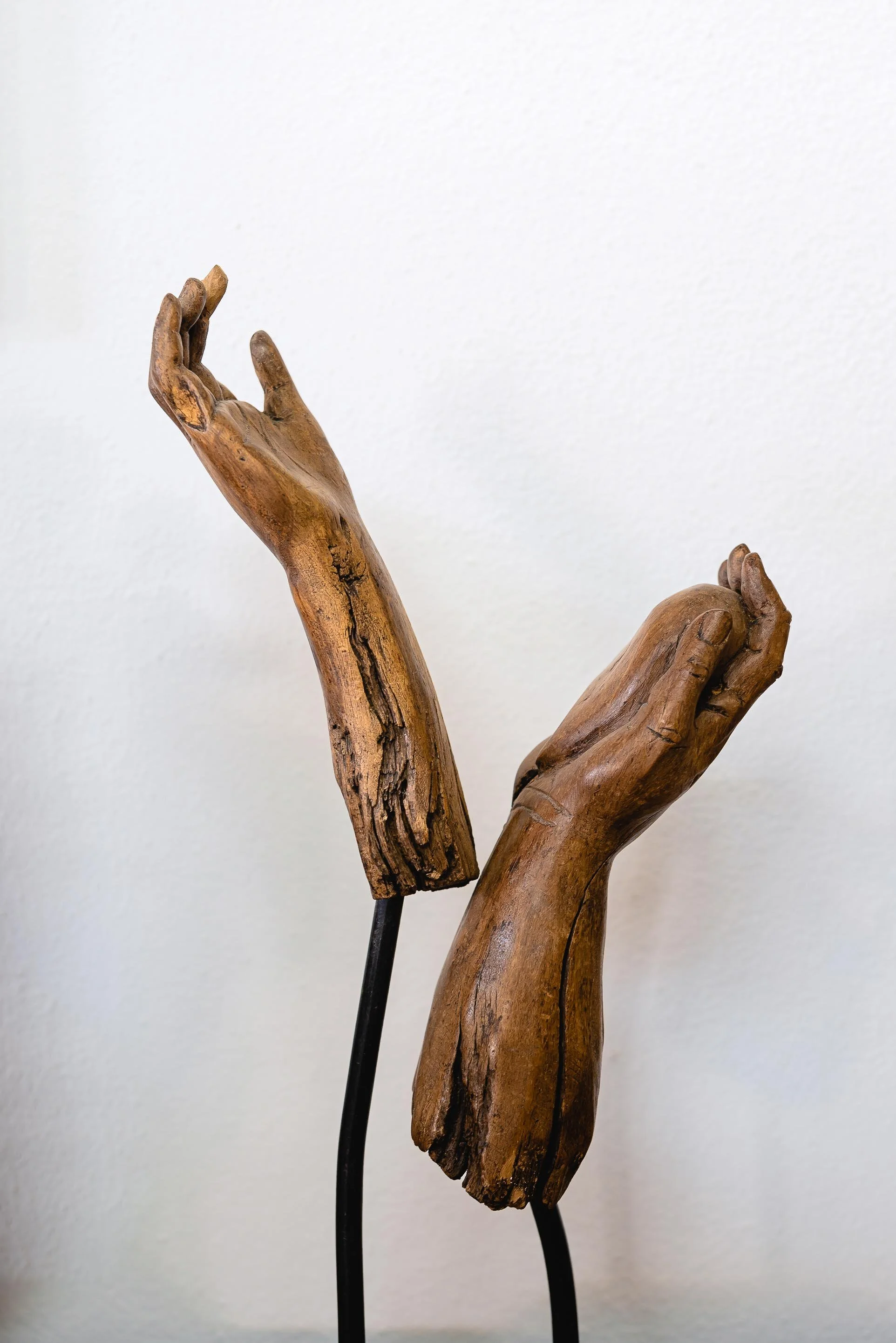 untitled -221209170034.jpg