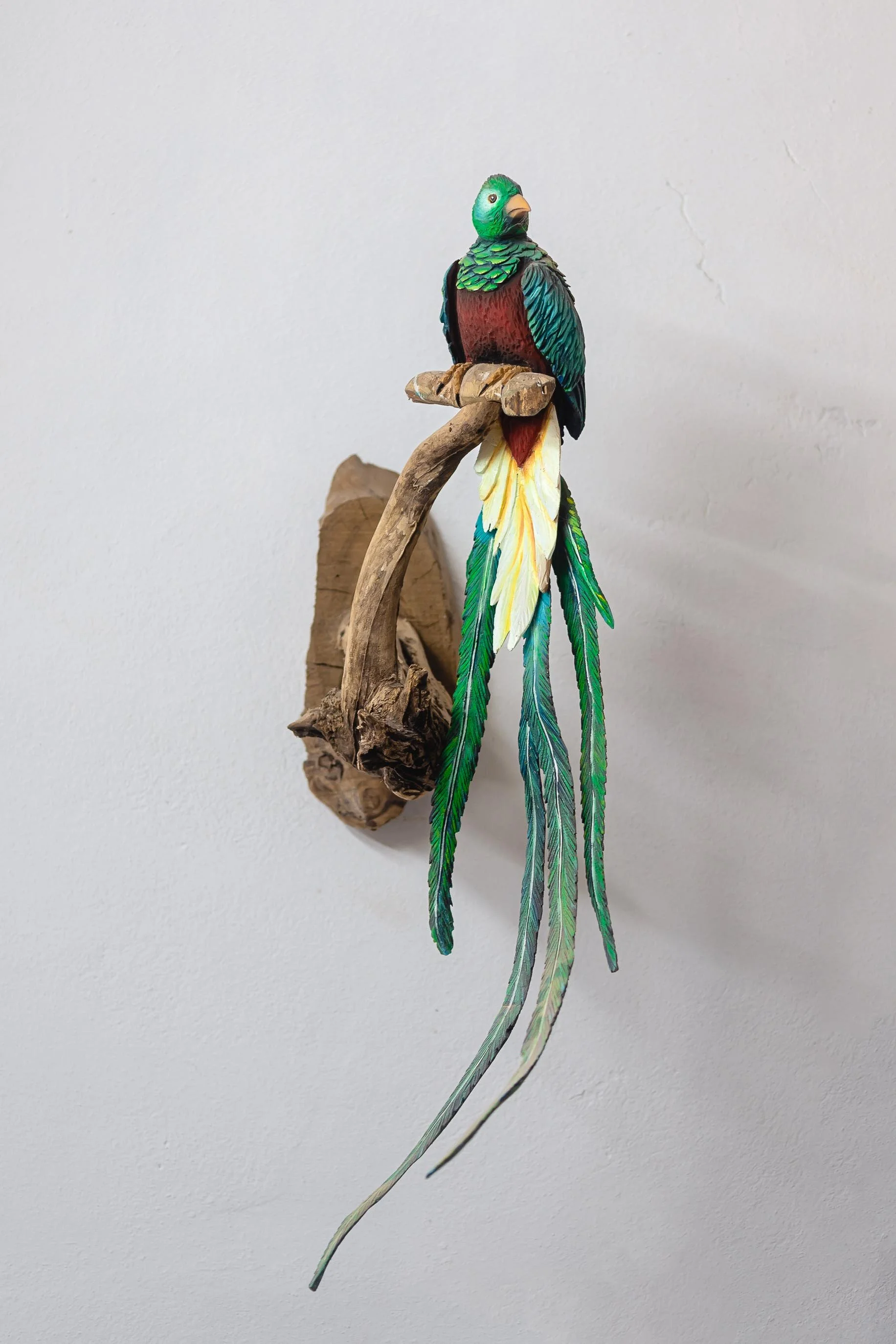 untitled -221209170613.jpg