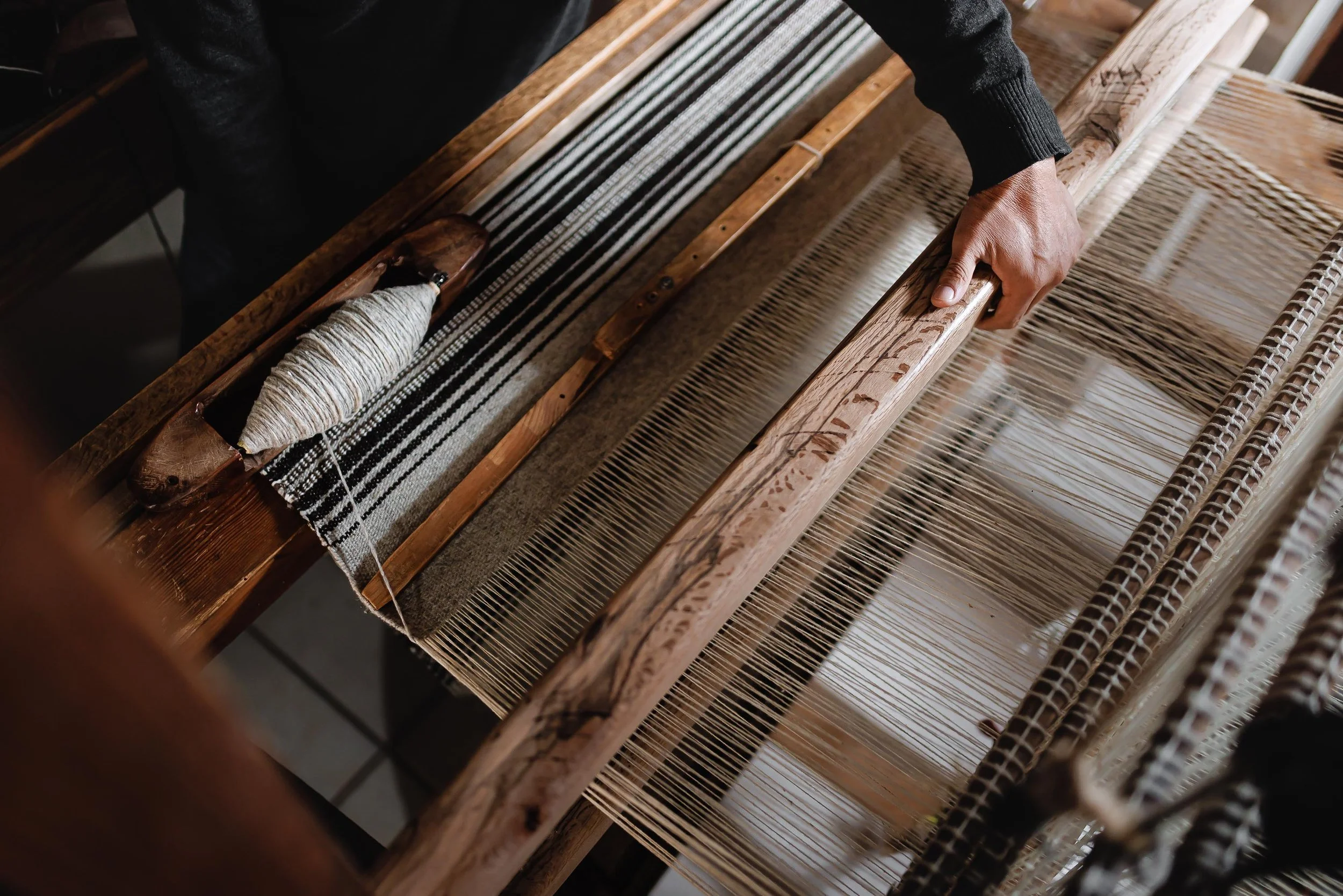 untitled -221214100558.jpg