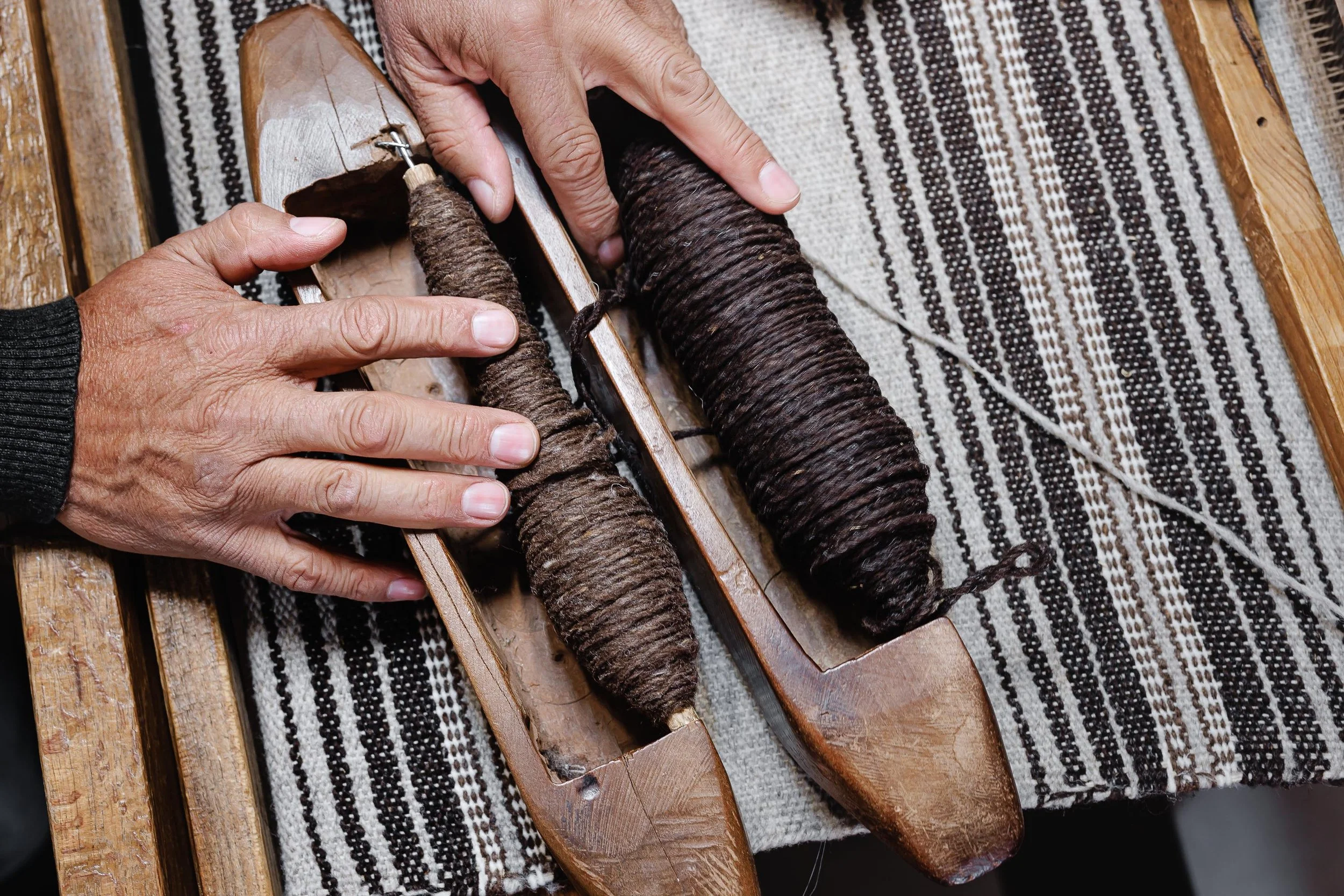 untitled -221214102037.jpg