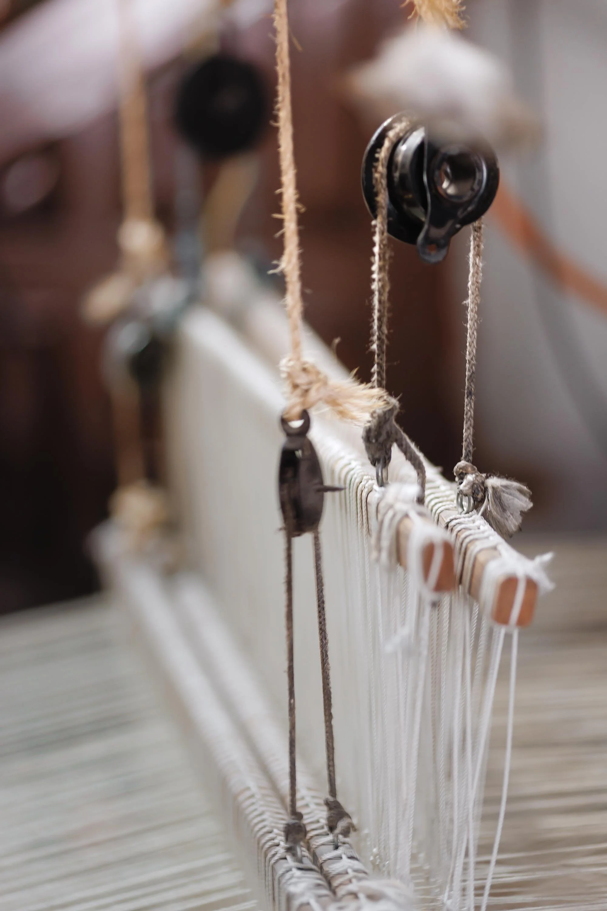 untitled -221214102555.jpg