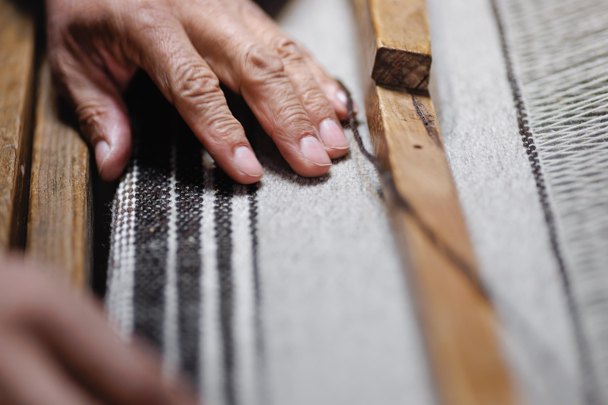 untitled -221214102851.jpg