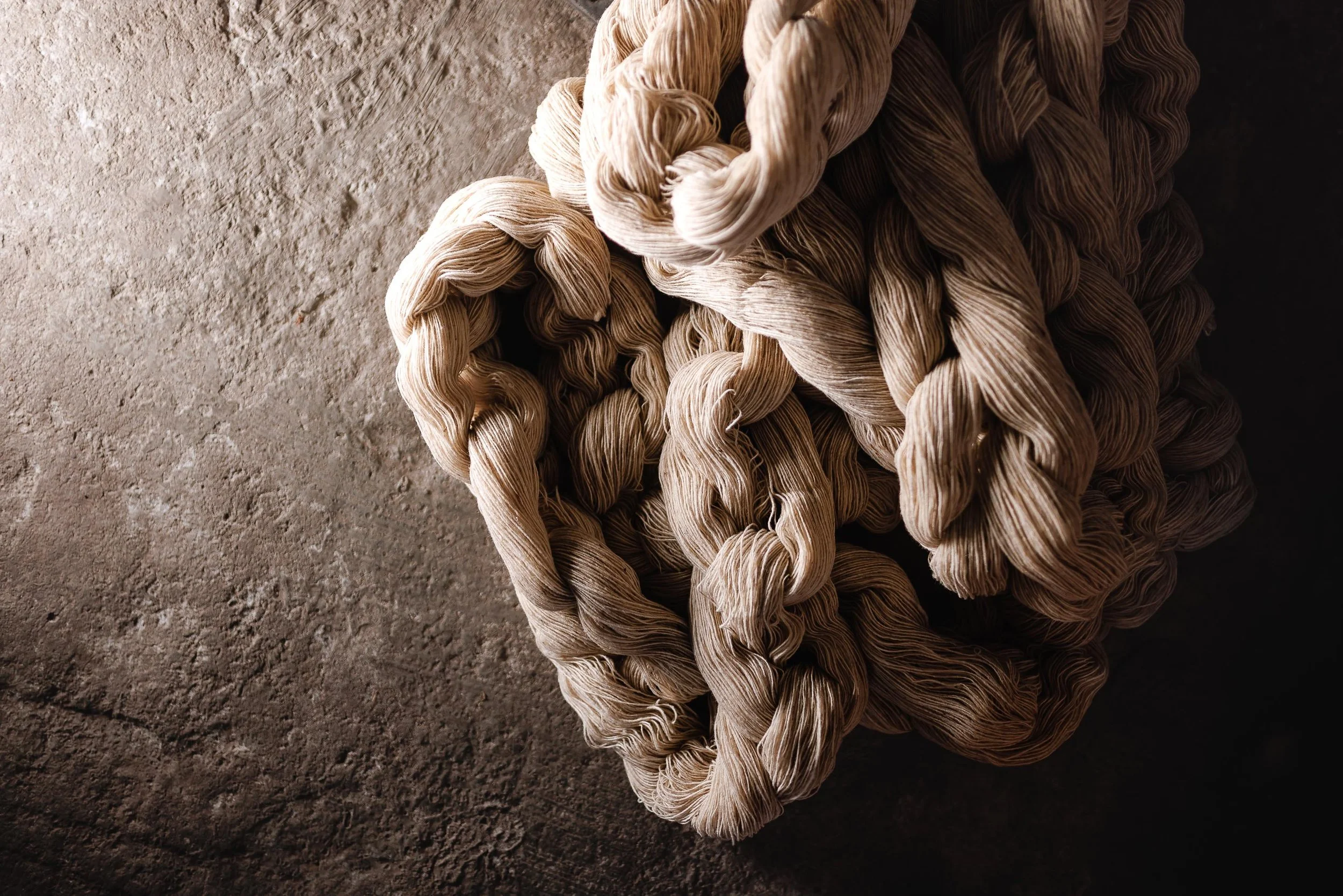 untitled -221214105309.jpg