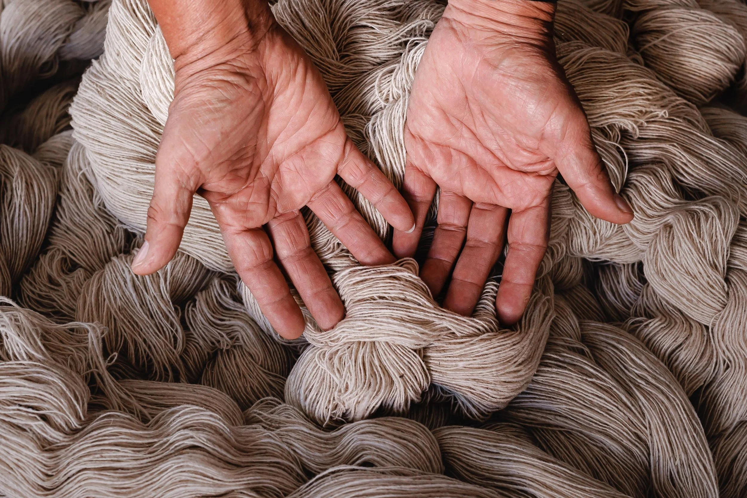 untitled -221214110108.jpg