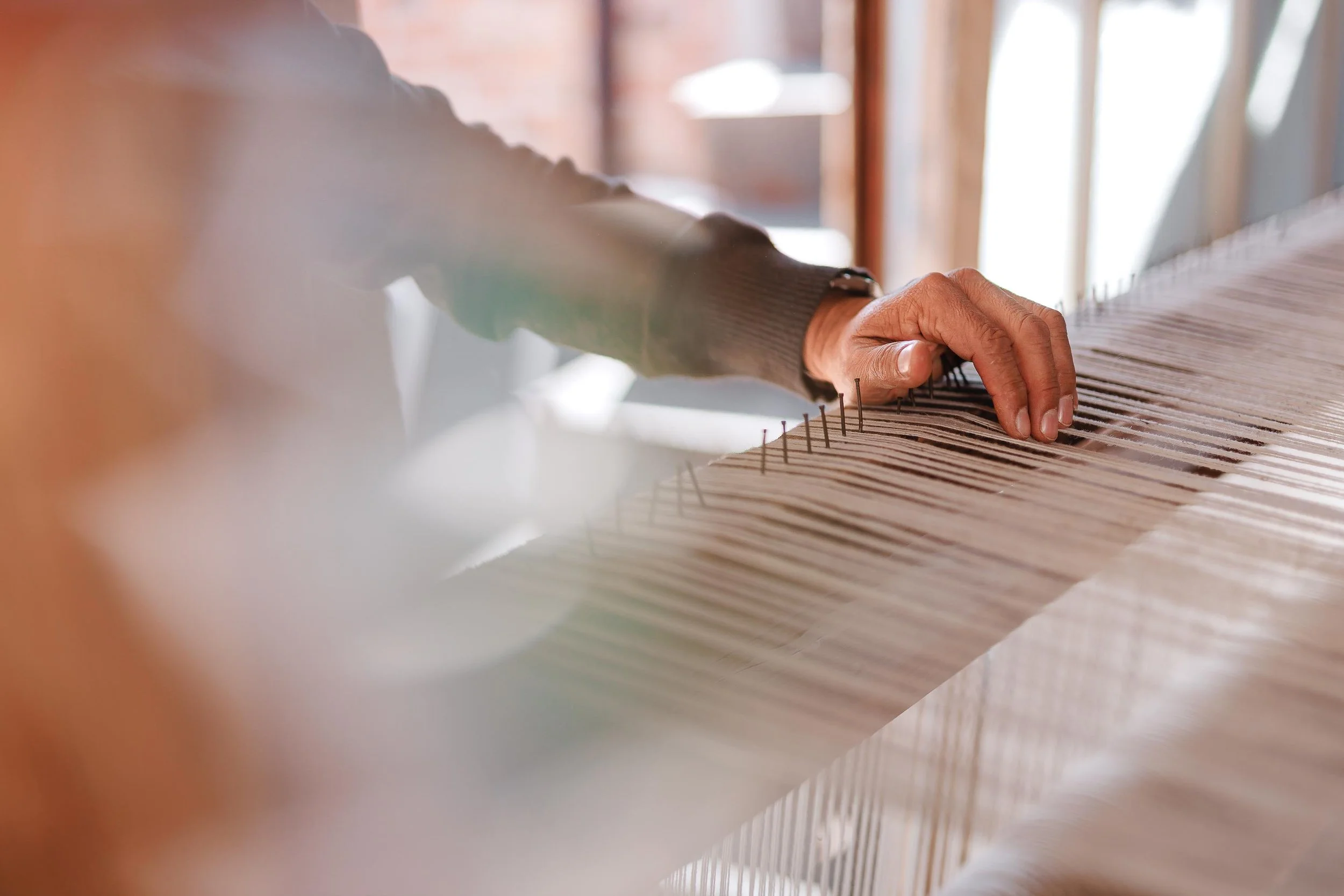 untitled -221214110338.jpg