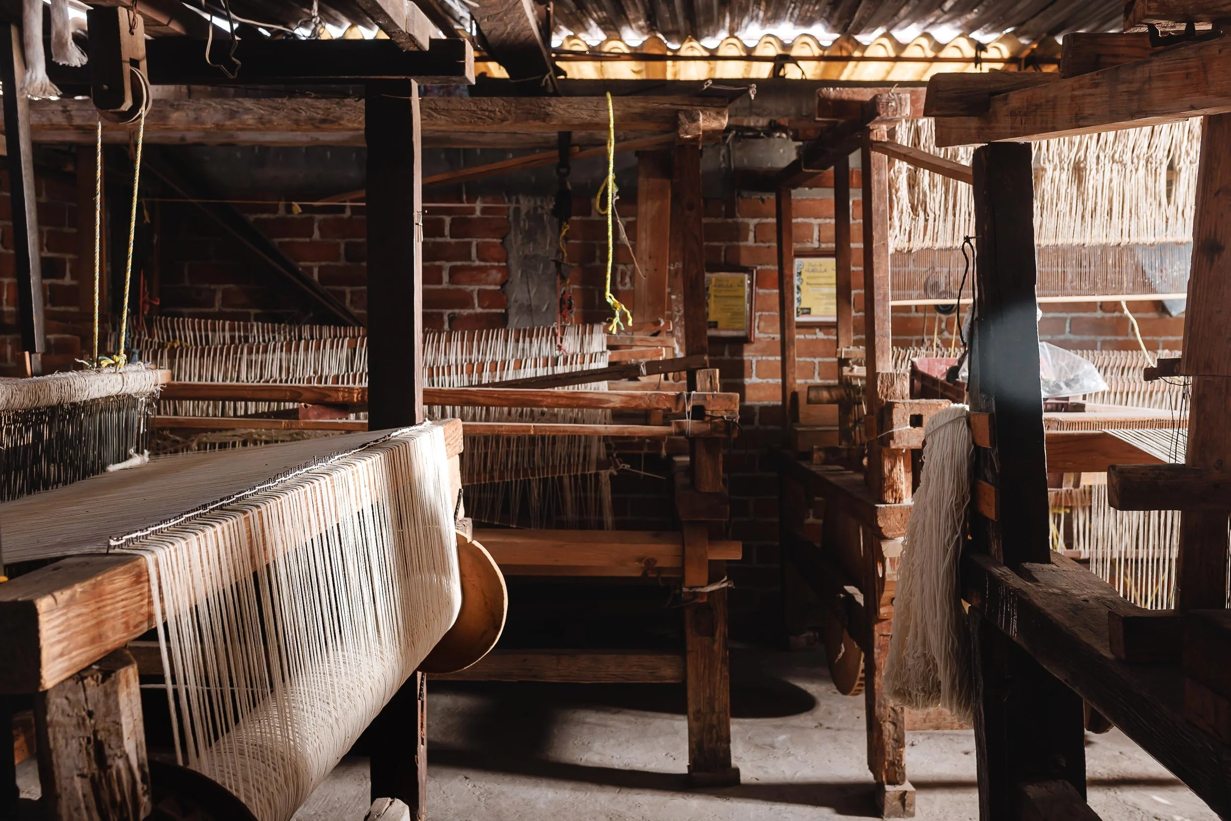 untitled -221214111112.jpg