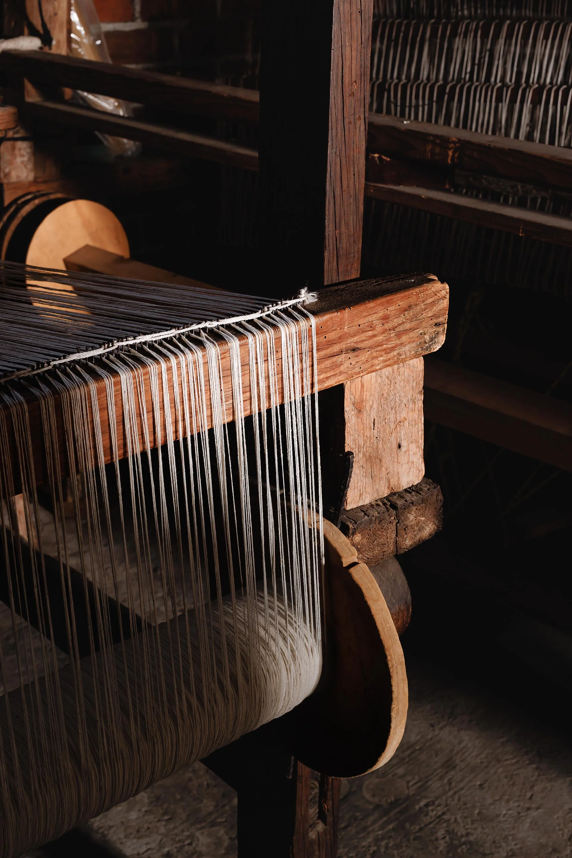 untitled -221214111313.jpg