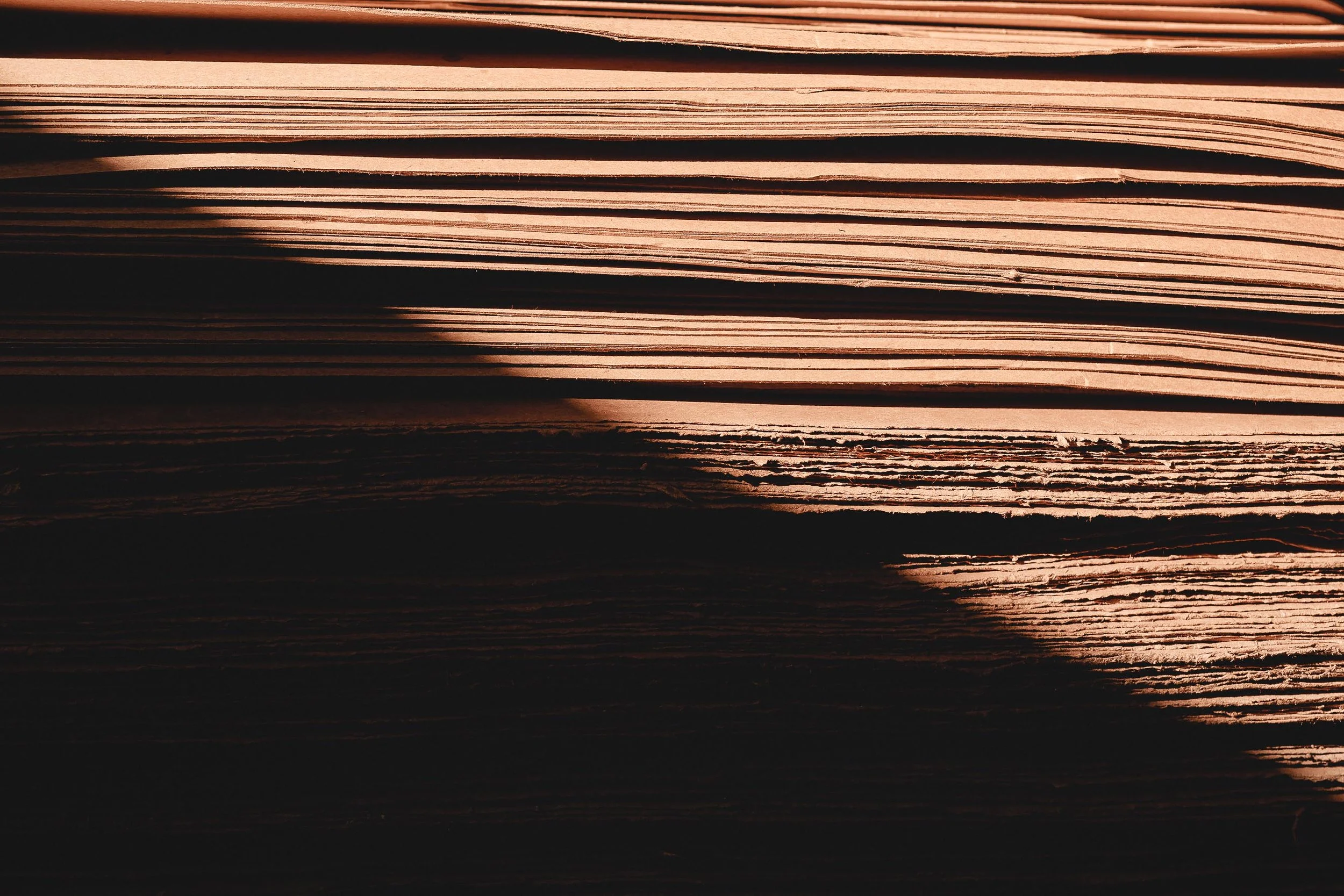 untitled -221215160536.jpg