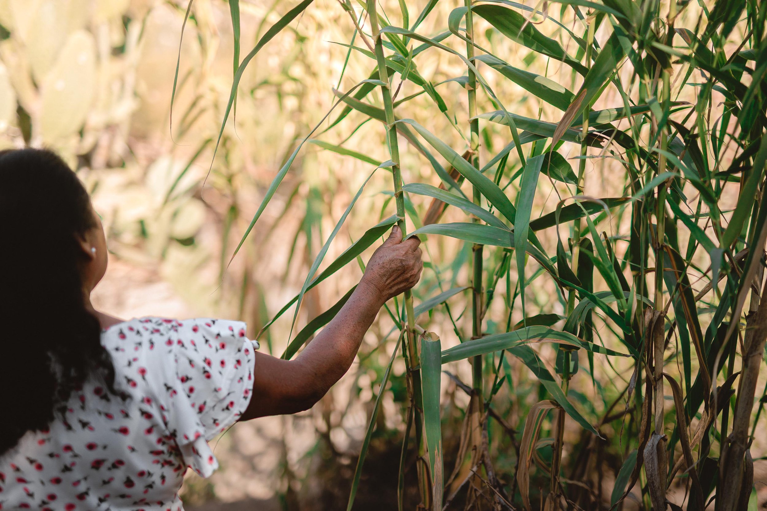 untitled -221219124324.jpg