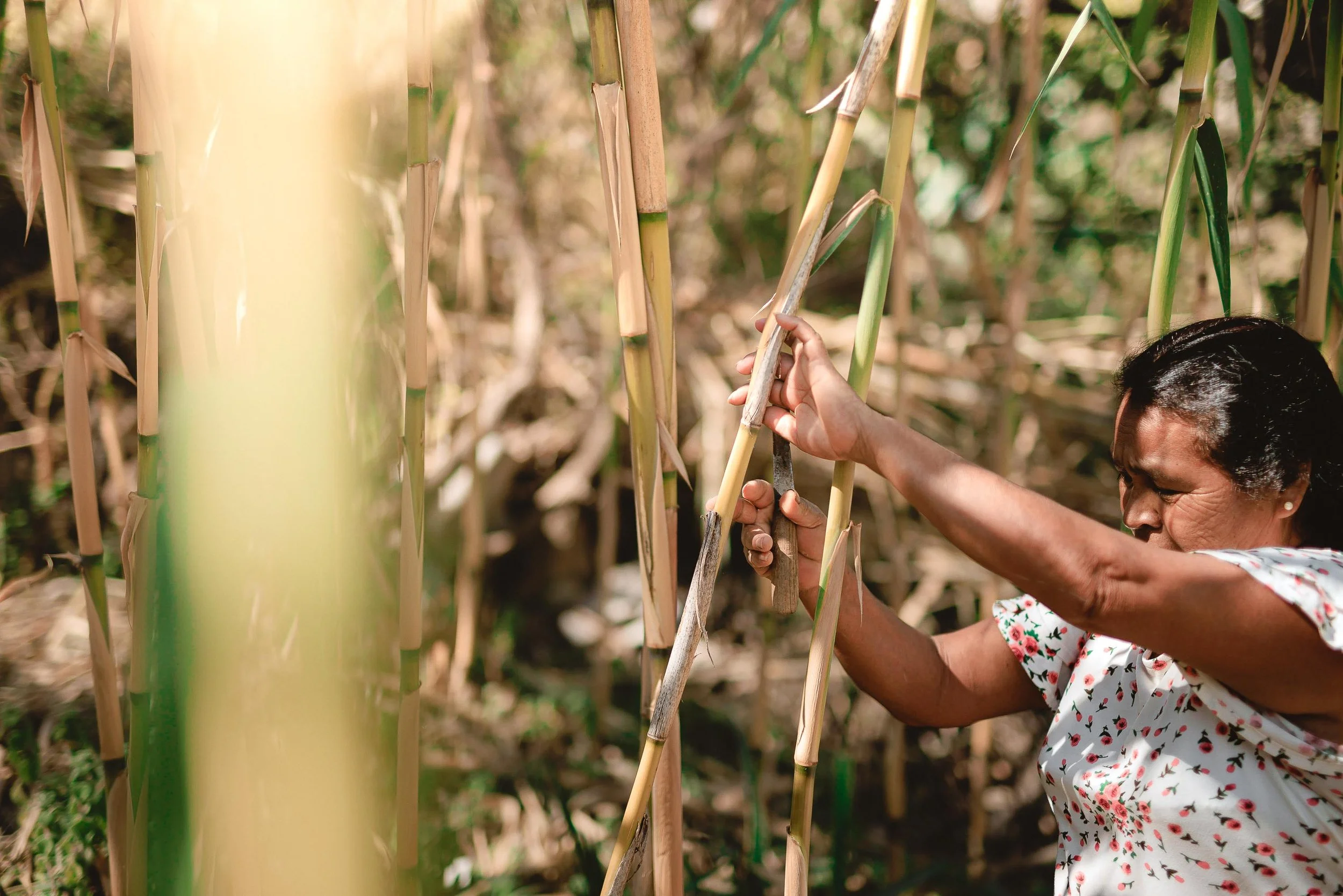 untitled -221219124423.jpg