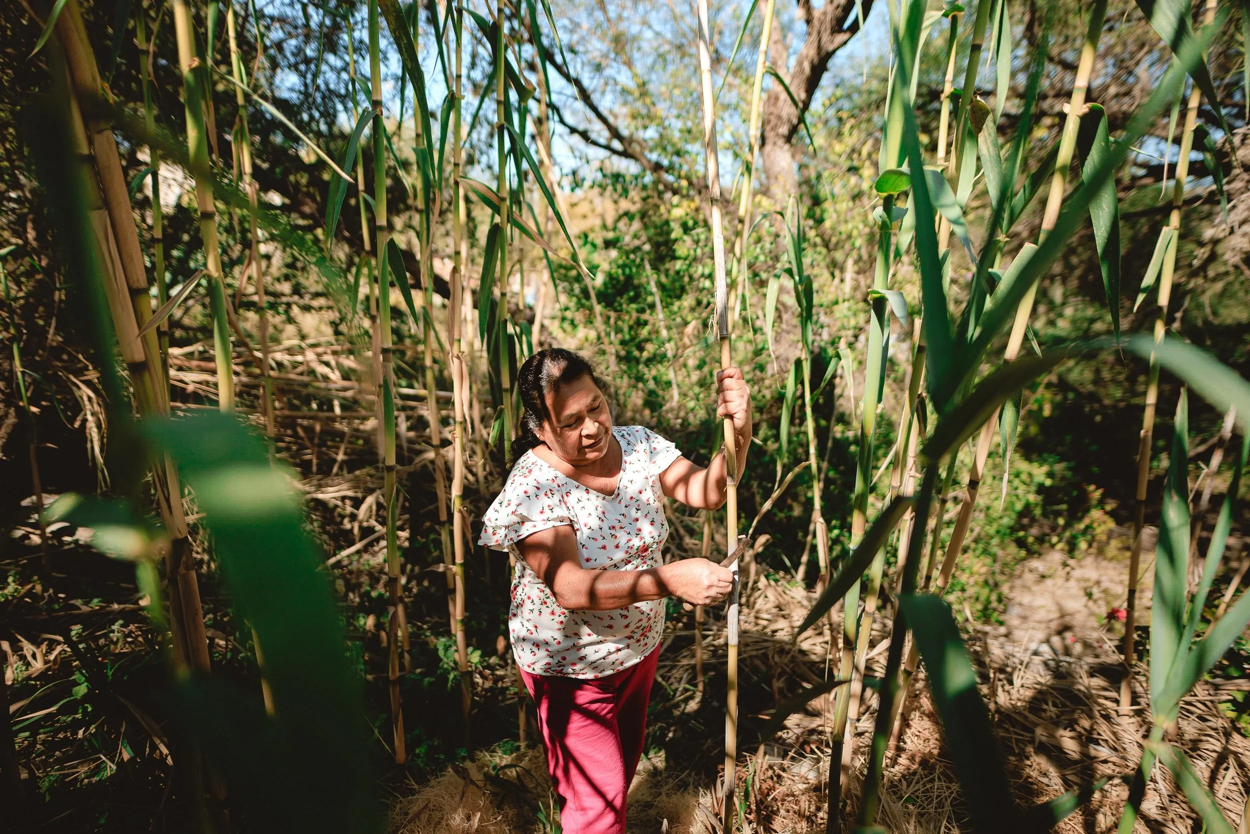 untitled -221219124606.jpg