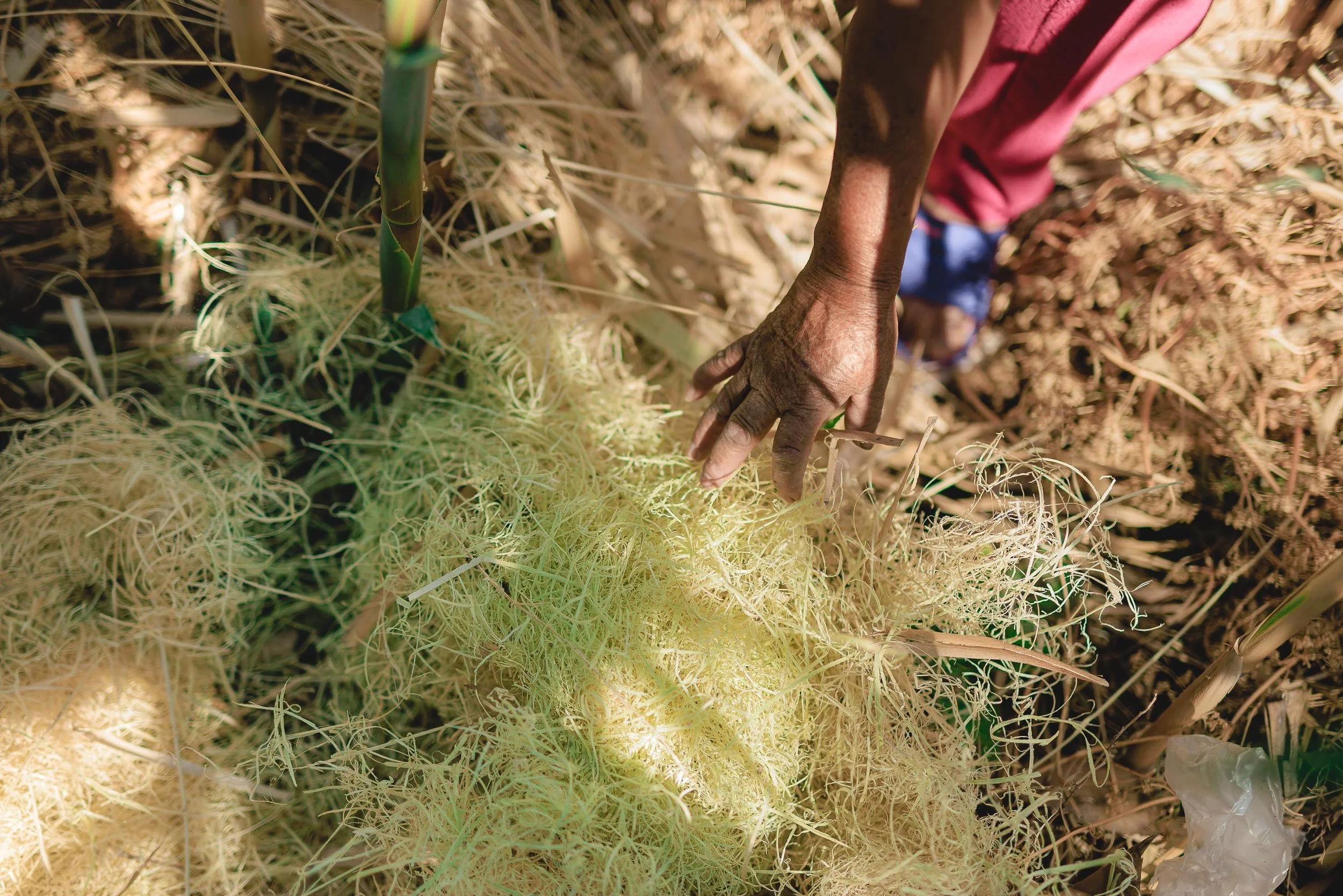 untitled -221219124711.jpg