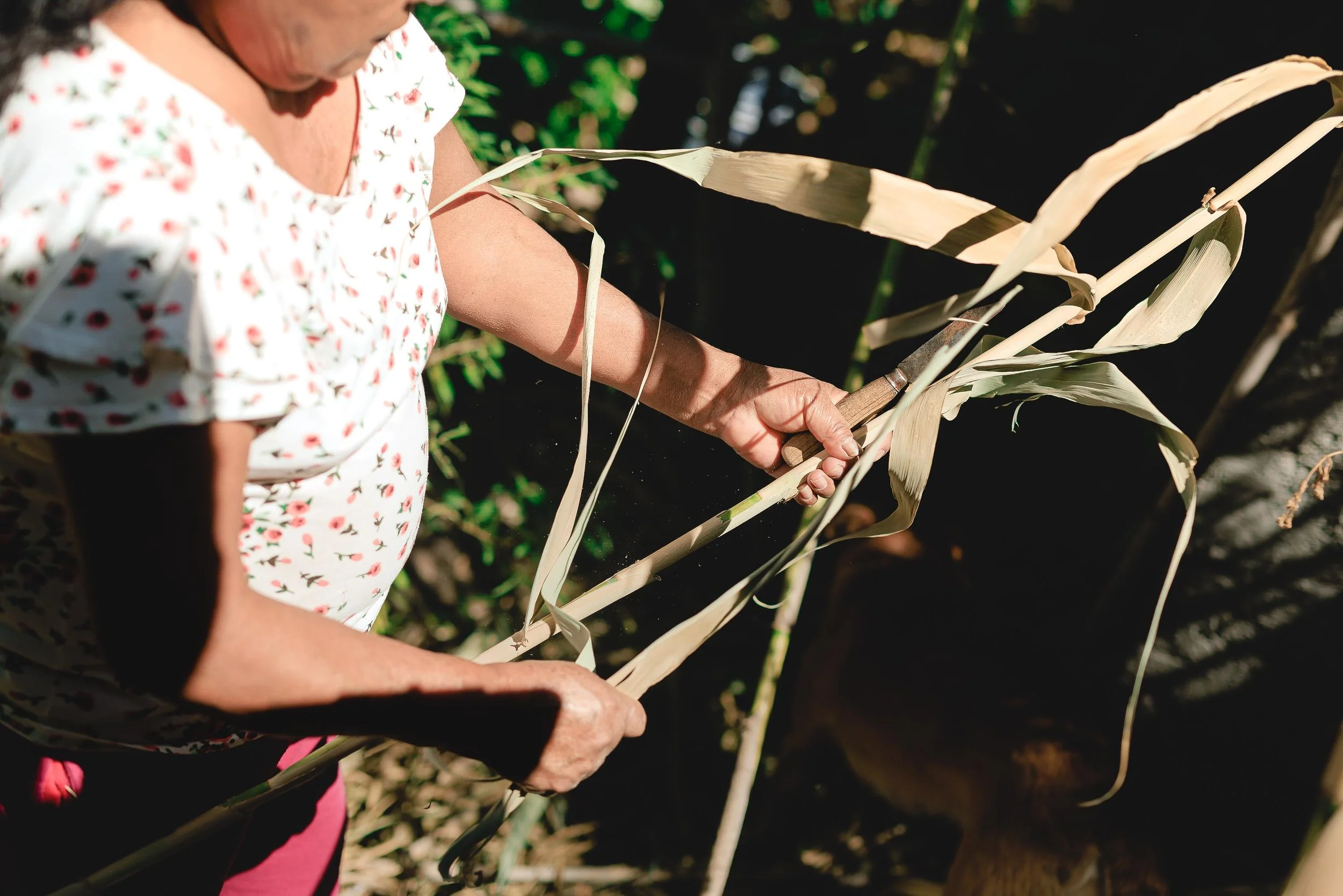 untitled -221219124853.jpg