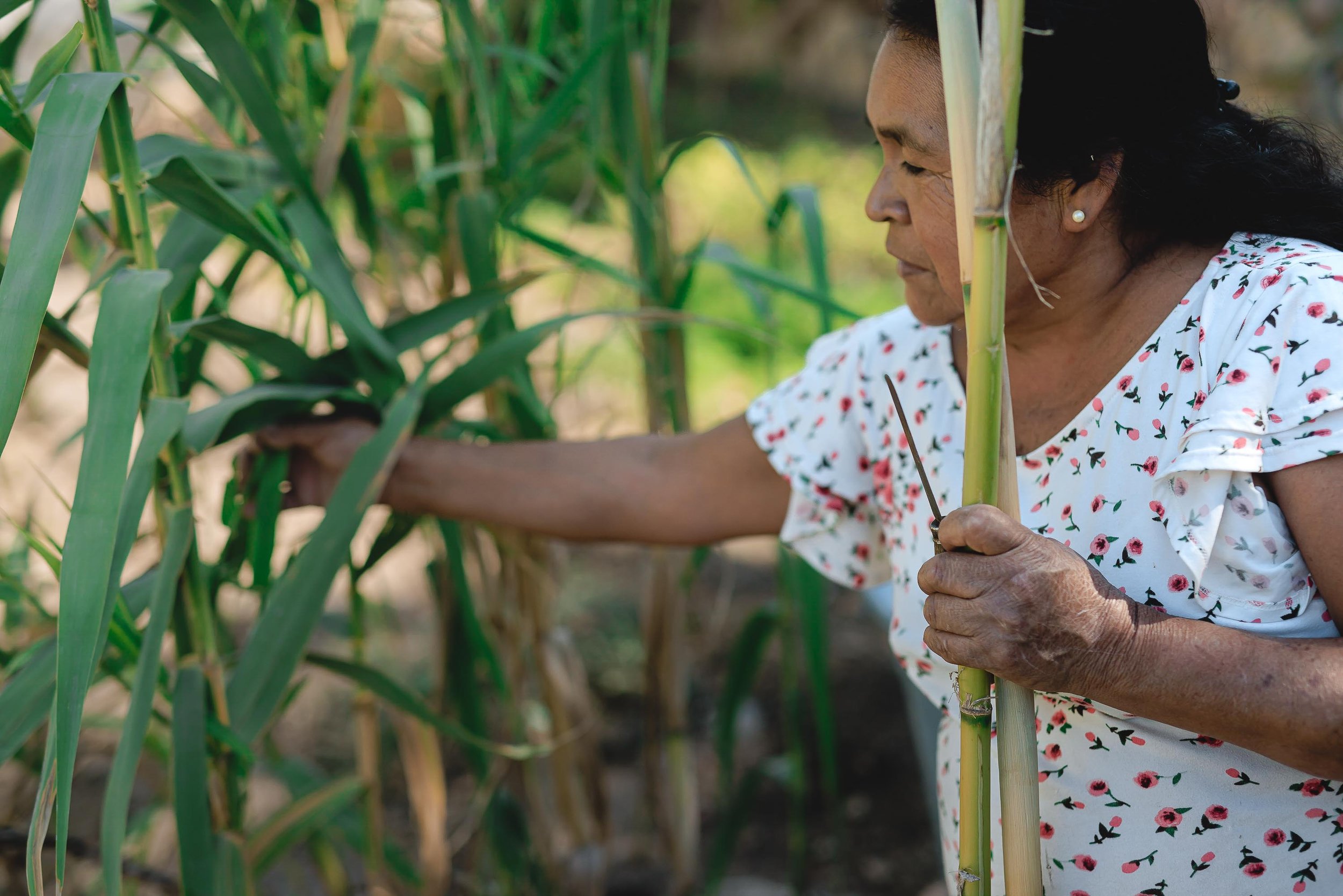 untitled -221219125041.jpg