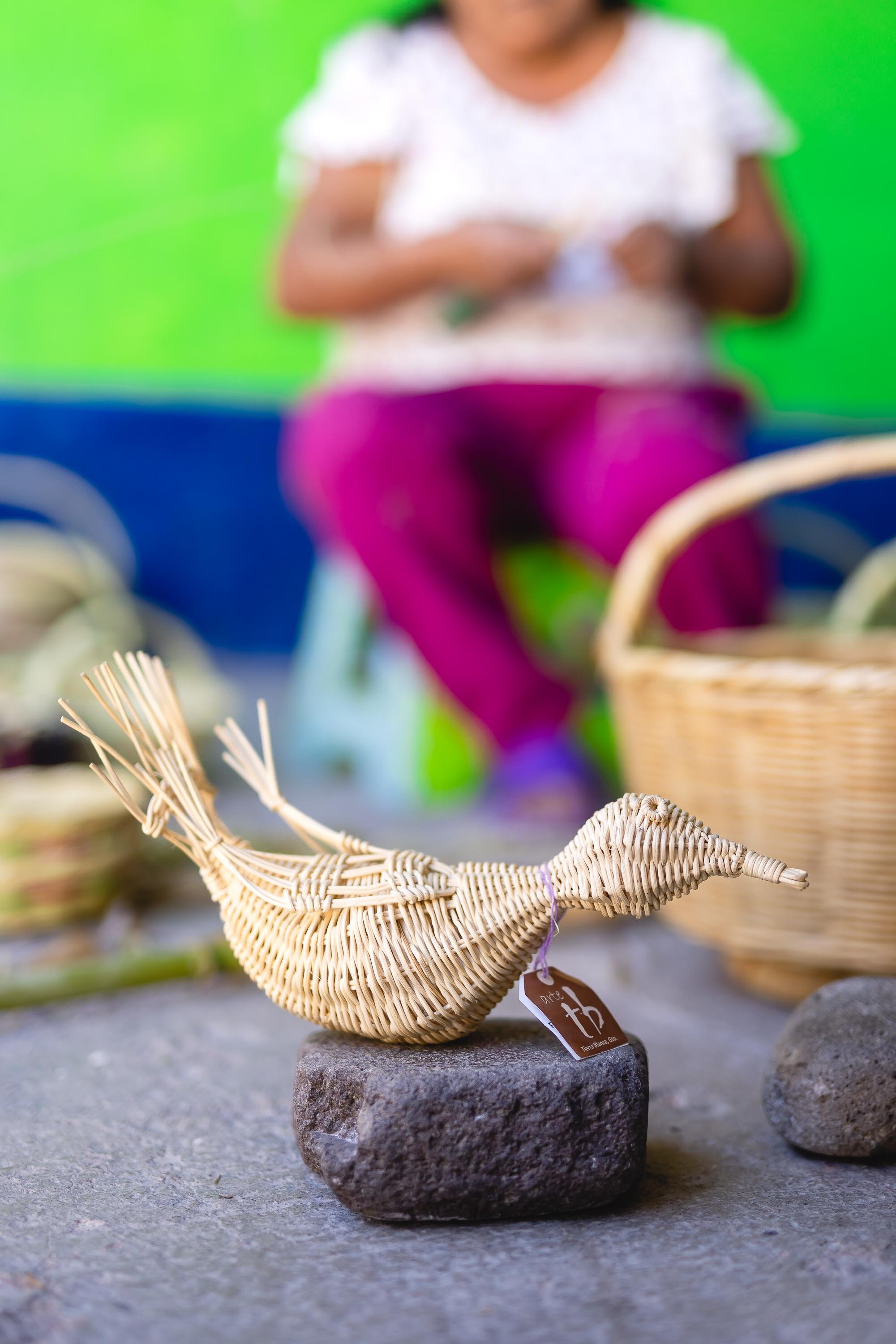 untitled -221219131614.jpg