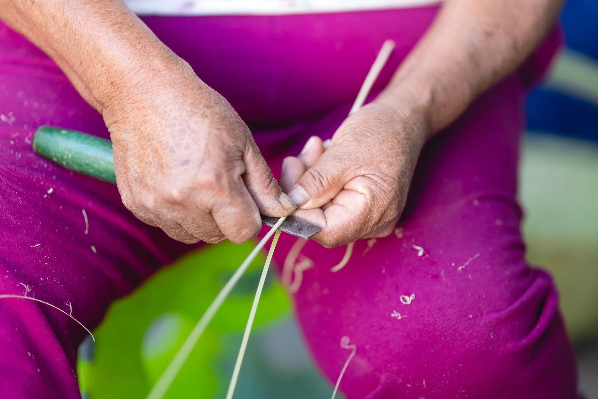 untitled -221219131906.jpg