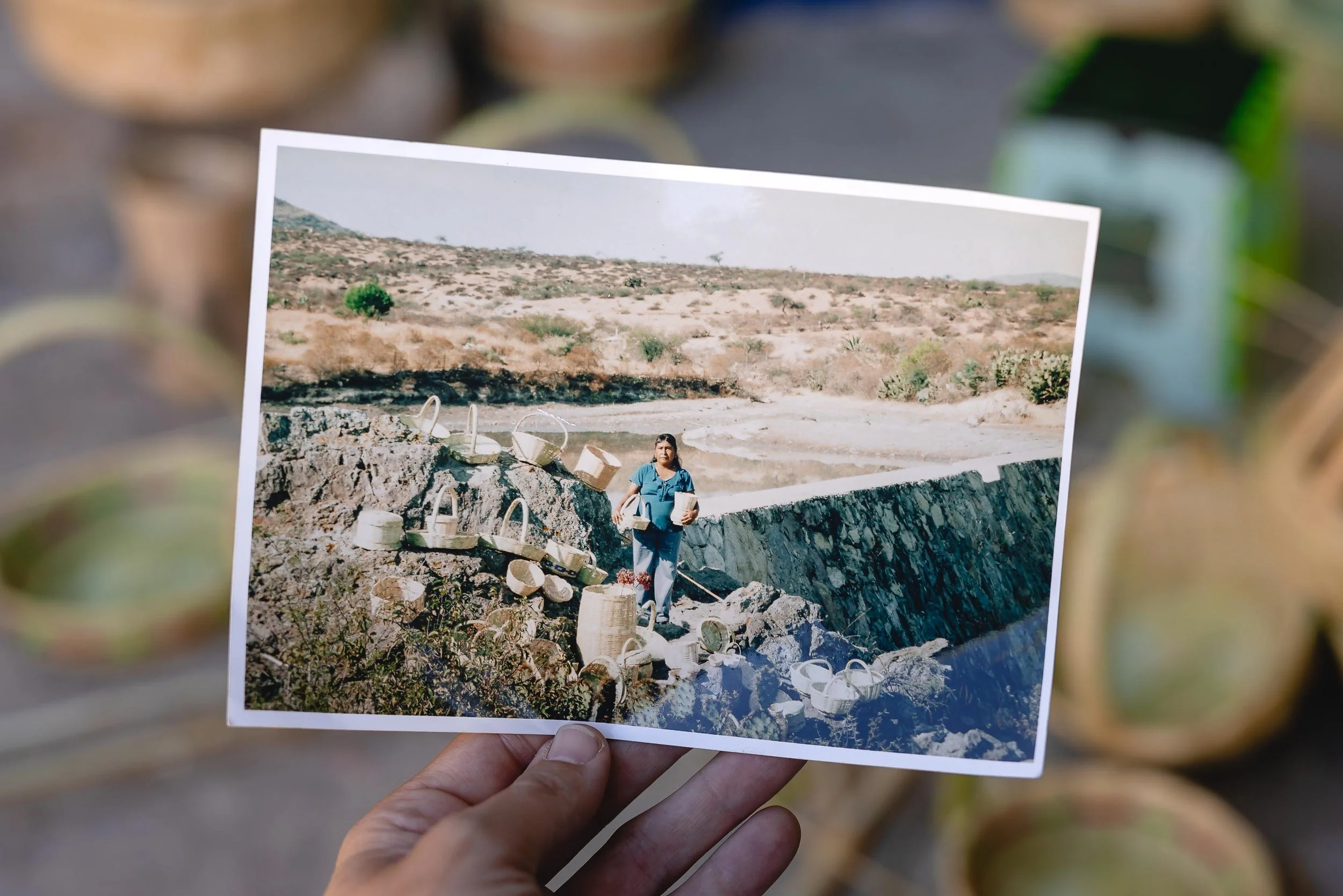 untitled -221219140709.jpg