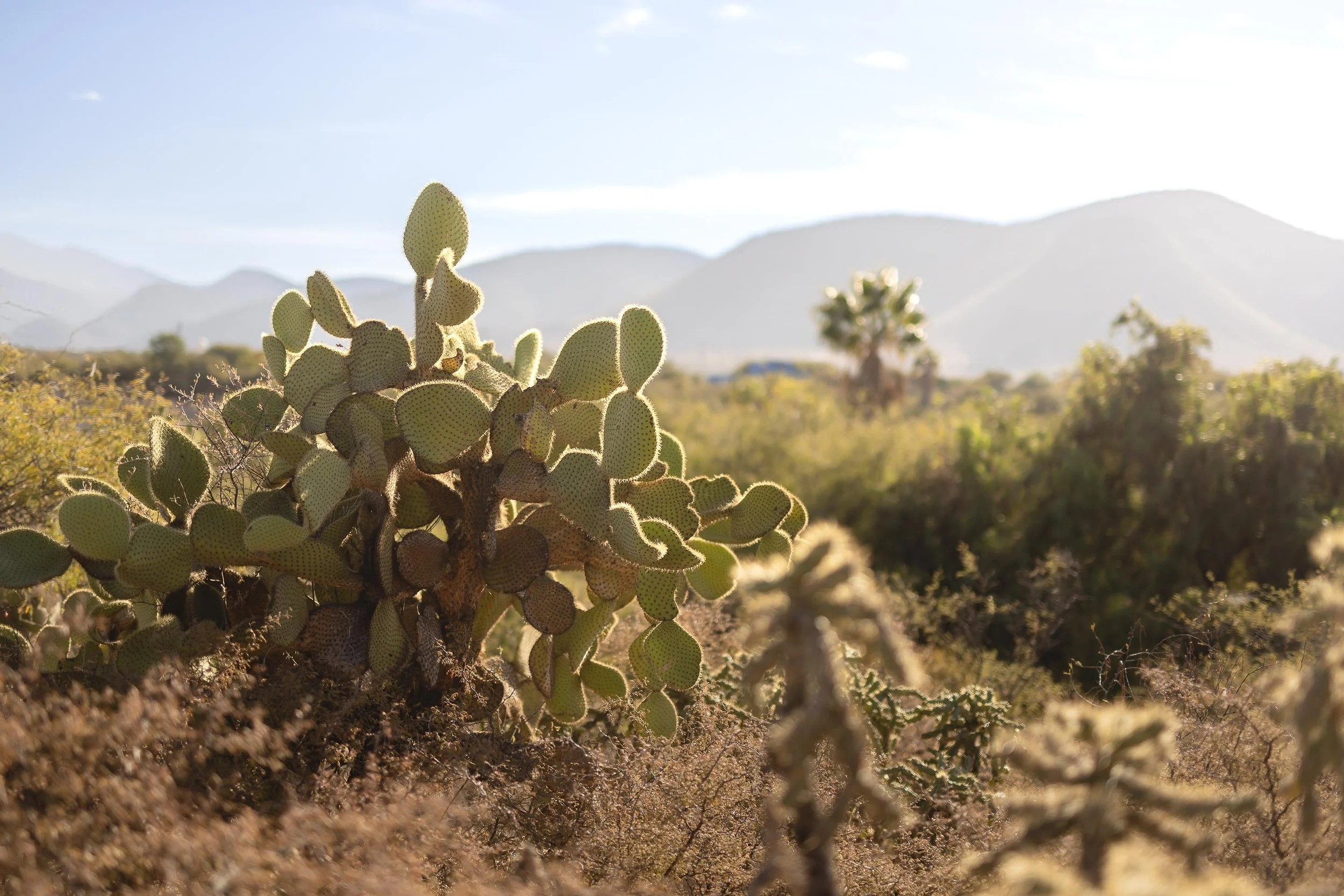 untitled -221219155702.jpg