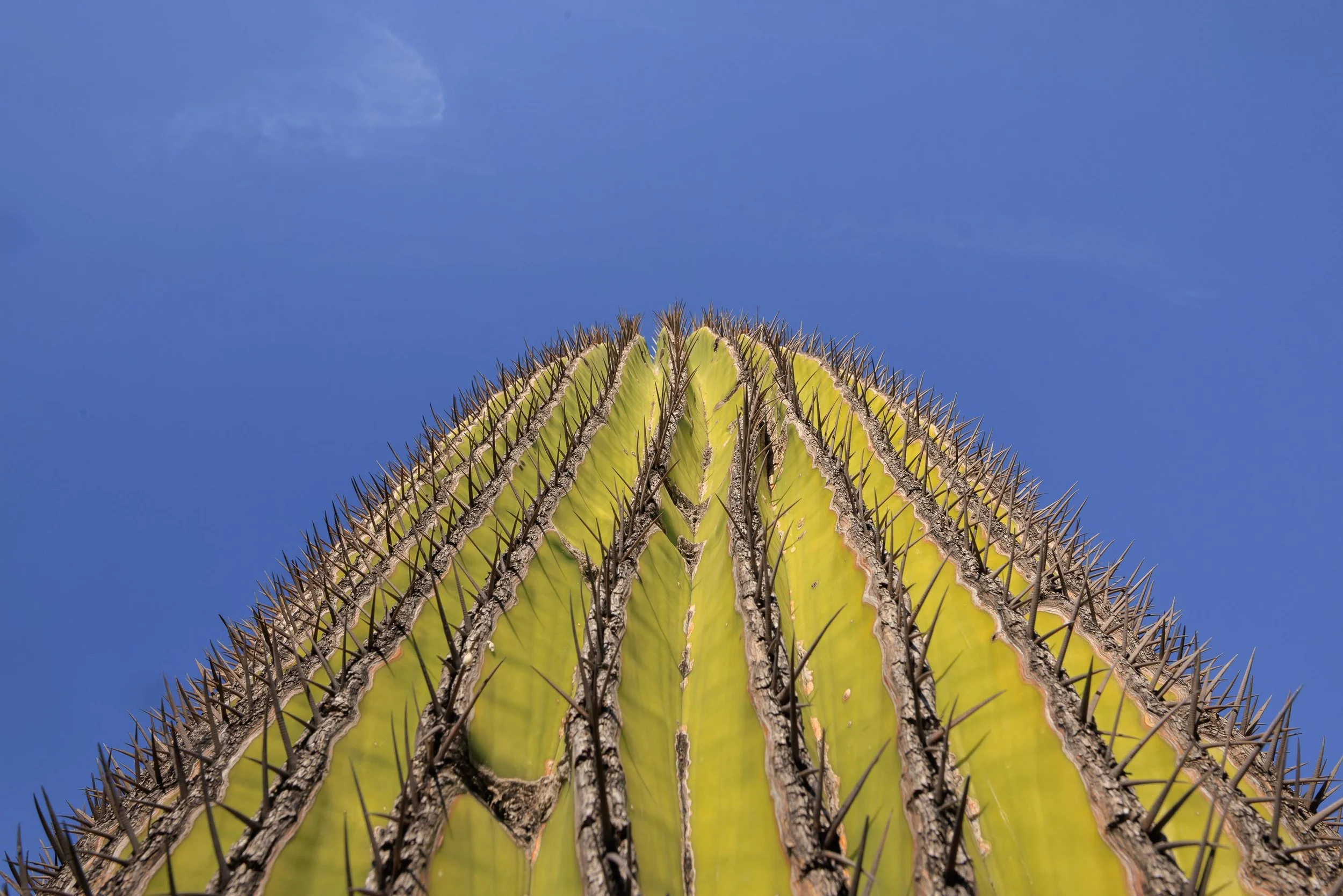 untitled -221219160637.jpg