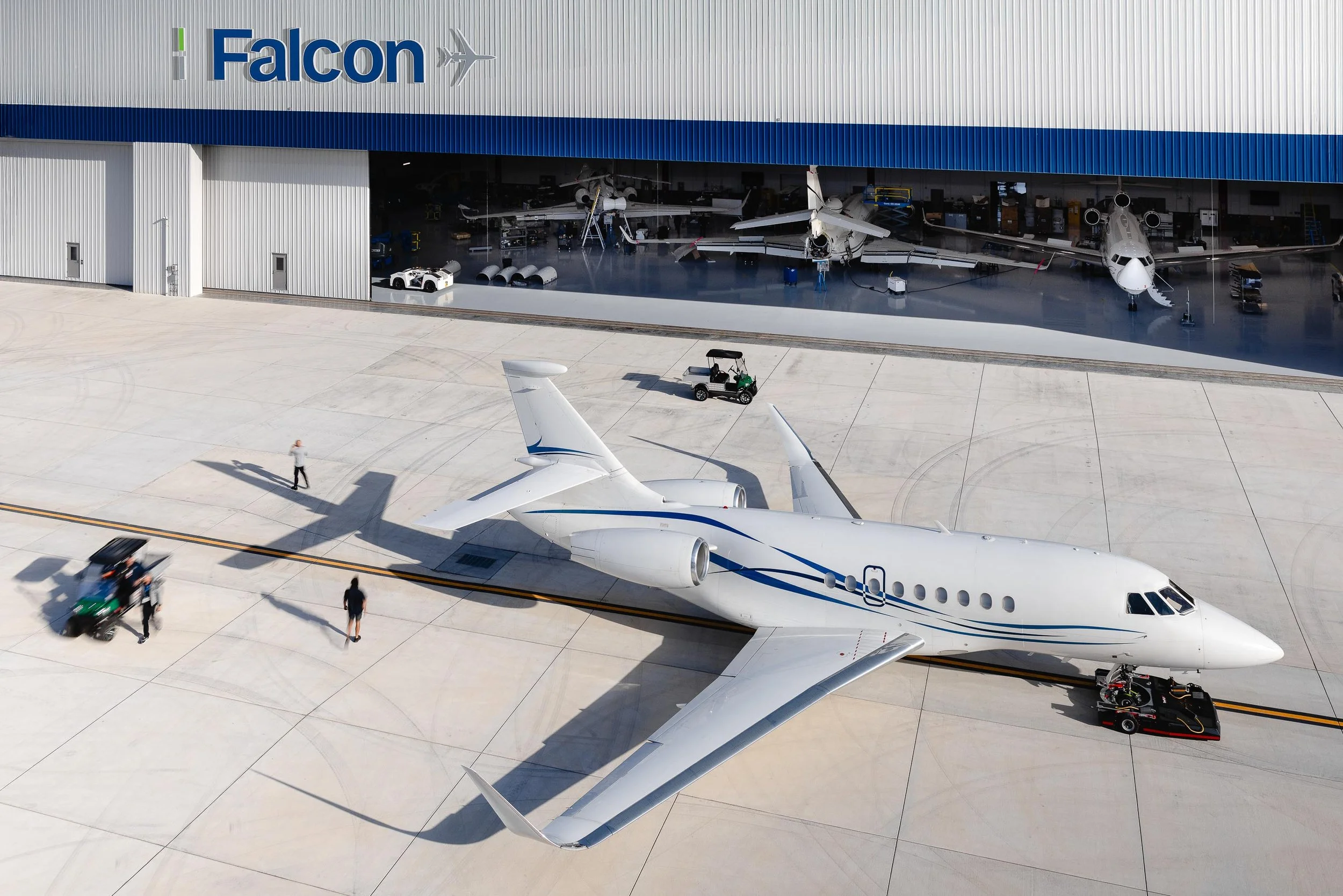Falcon-Melbourne-ALX22748-2.jpg