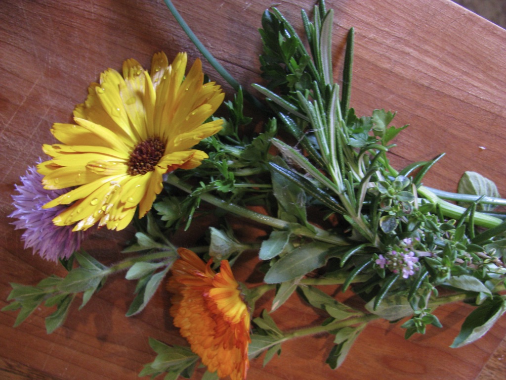 Five Herbs I Like To Grow In My Garden Heather Borkowski