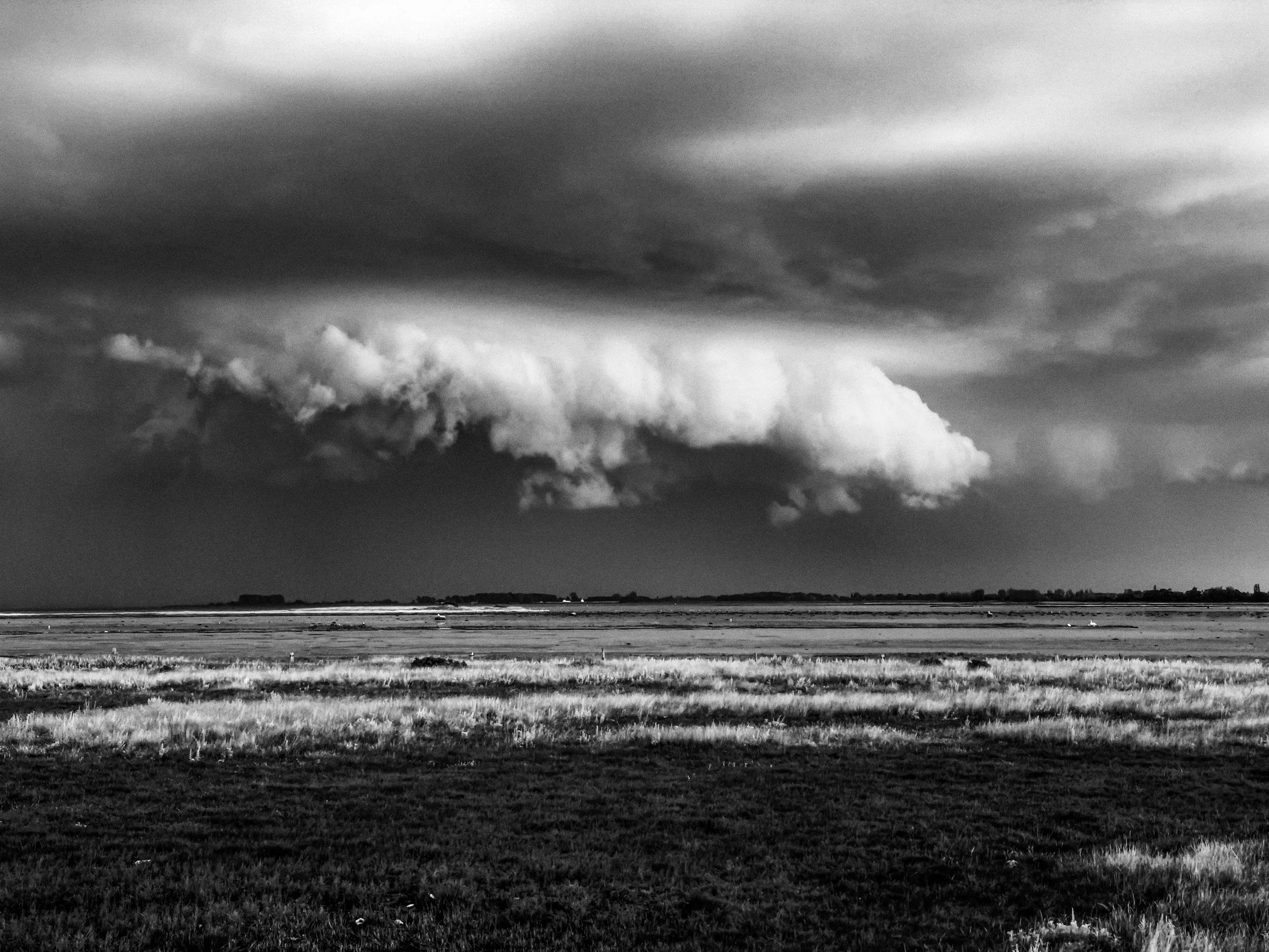 INDV_MORCH_LONE 5_WEATHER.jpg
