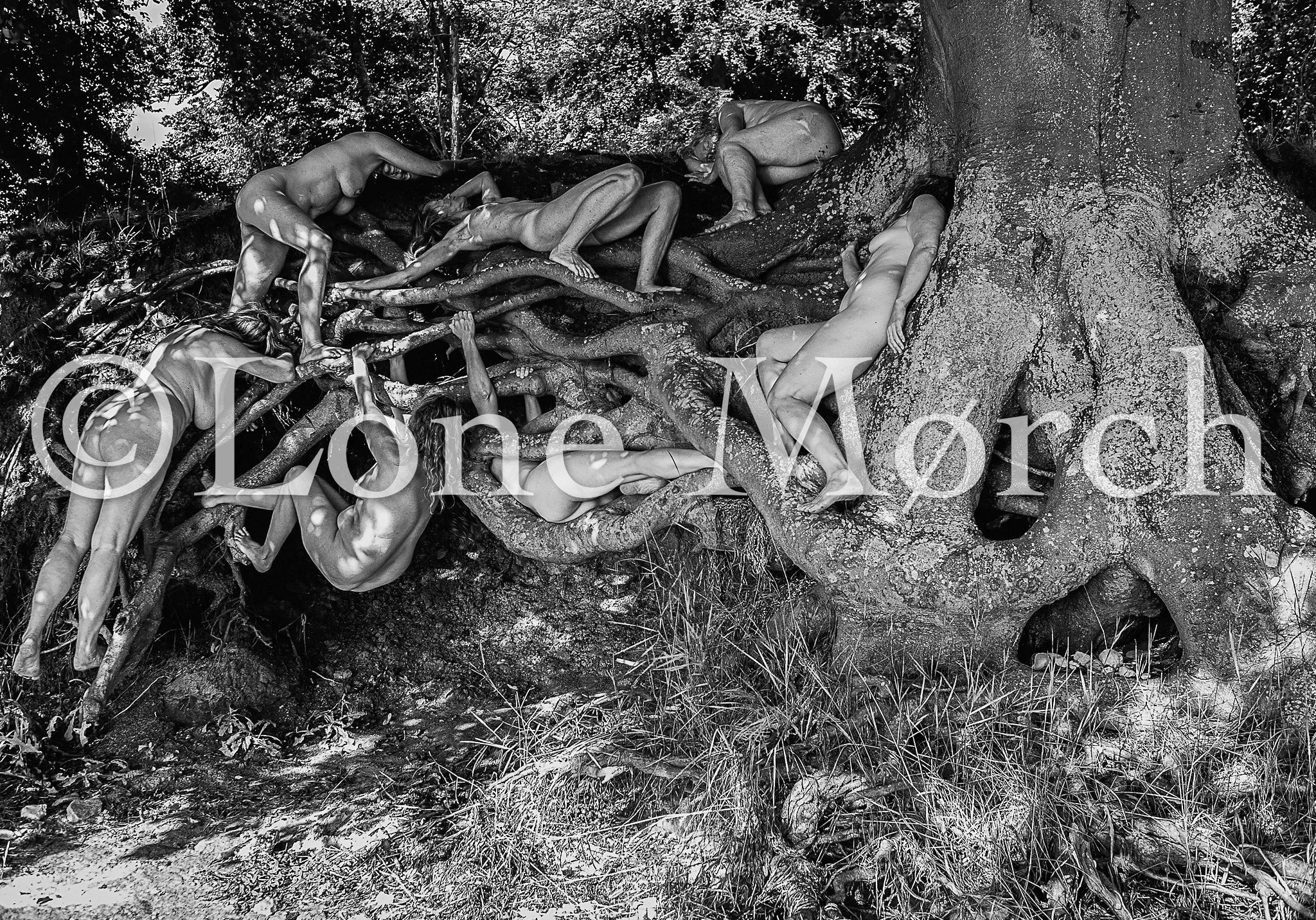 My art works are selling !! This warms my creative little big heart and encourages me to share a bit more from my current Exhibit at @gimsinghoved ...

This is part of a collection of works I call "When Women Were Trees". Inspired by ecofem