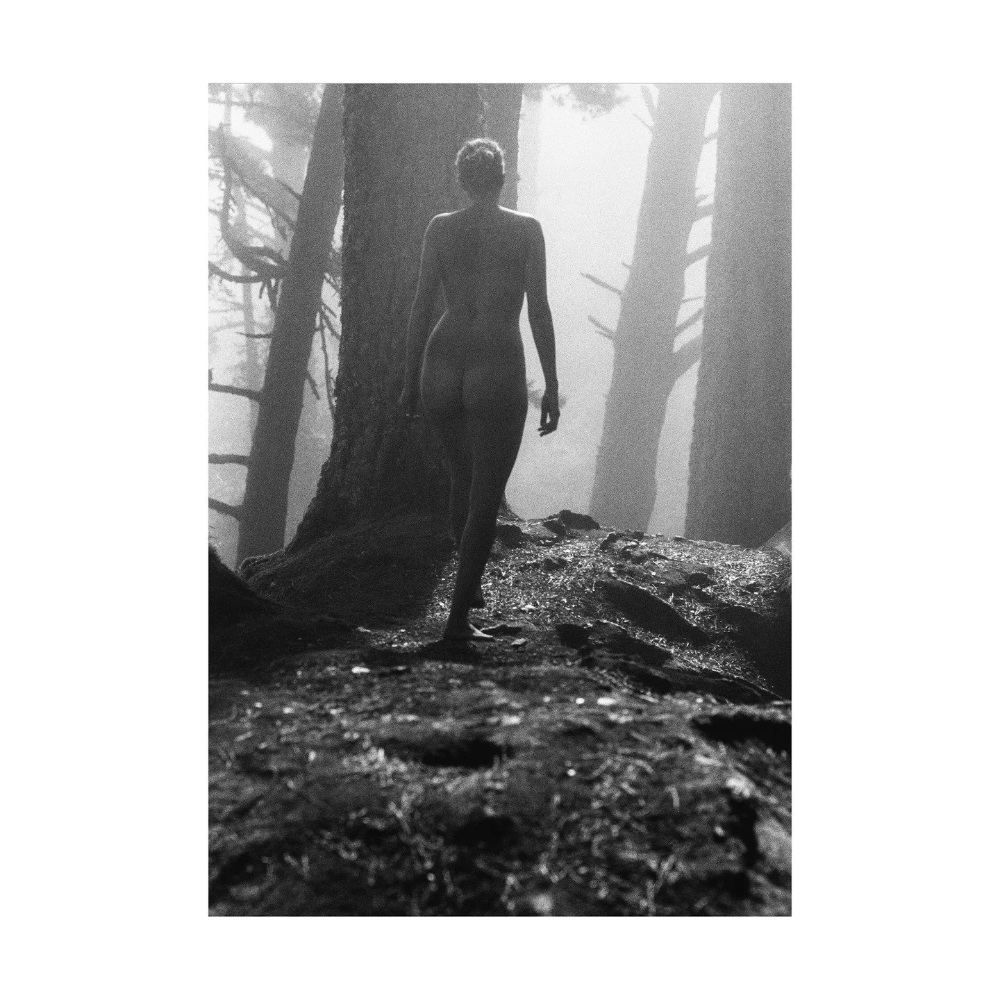 Day 2 IG Take-Over for @disir.nordic / @disir.denmark ... 

Hi again. Let me share a bit more on the When Women Were Trees project I introduced yesterday. 

When Women Were Trees began with an invitation to exhibit under the theme The Female Gaze &nd