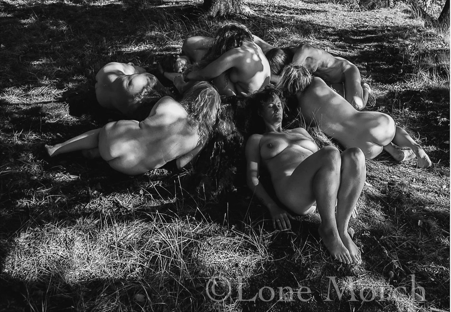 Treesisters II