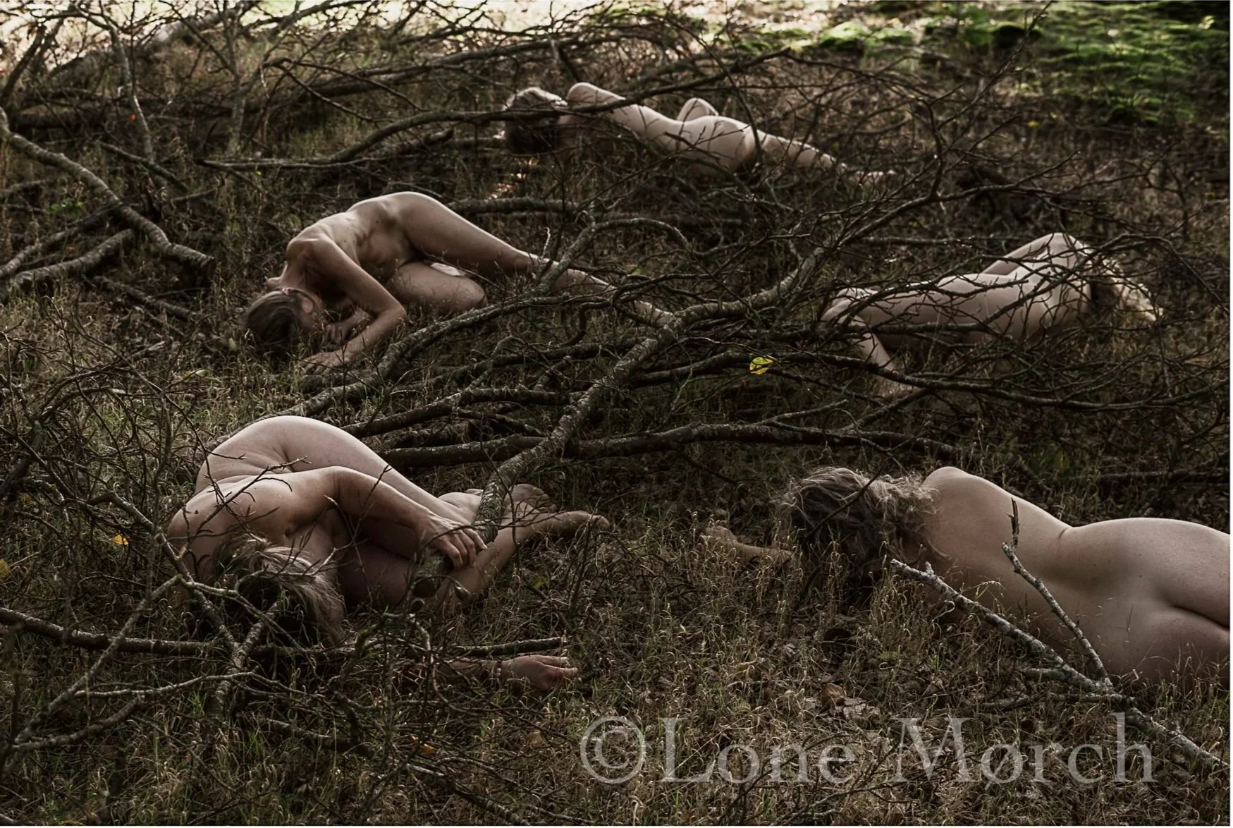 Rooting