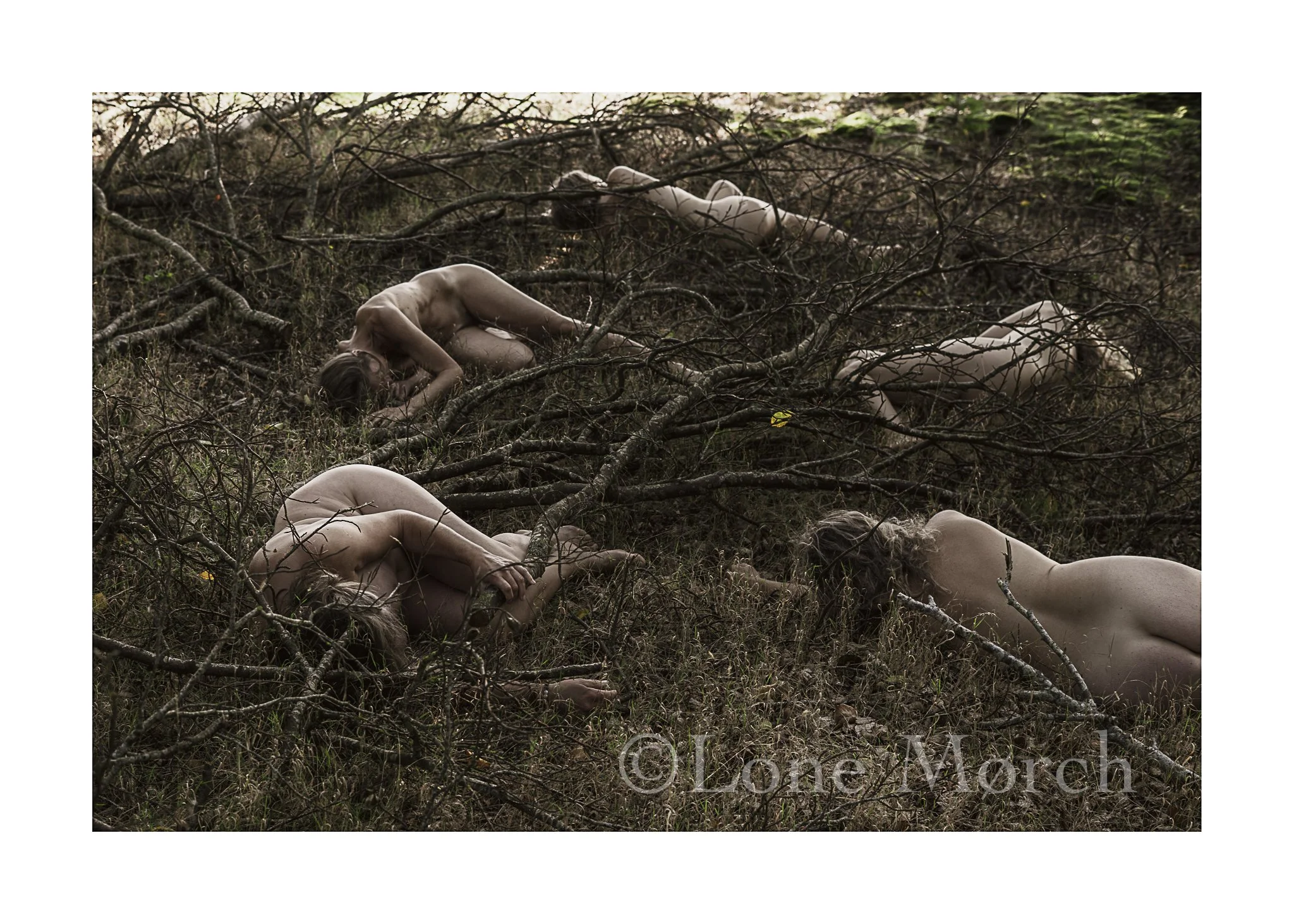 Lone Morch_2026-36.jpg