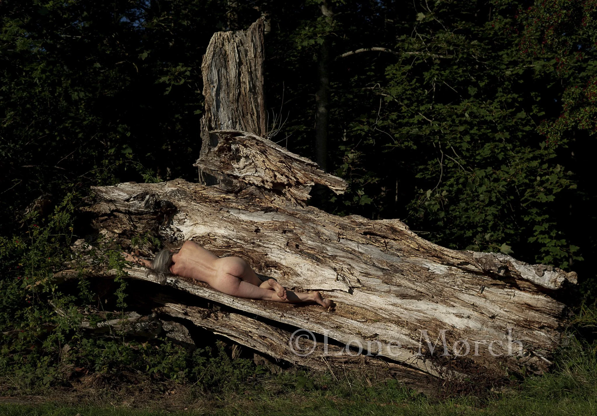 Lone Morch_2026-39.jpg