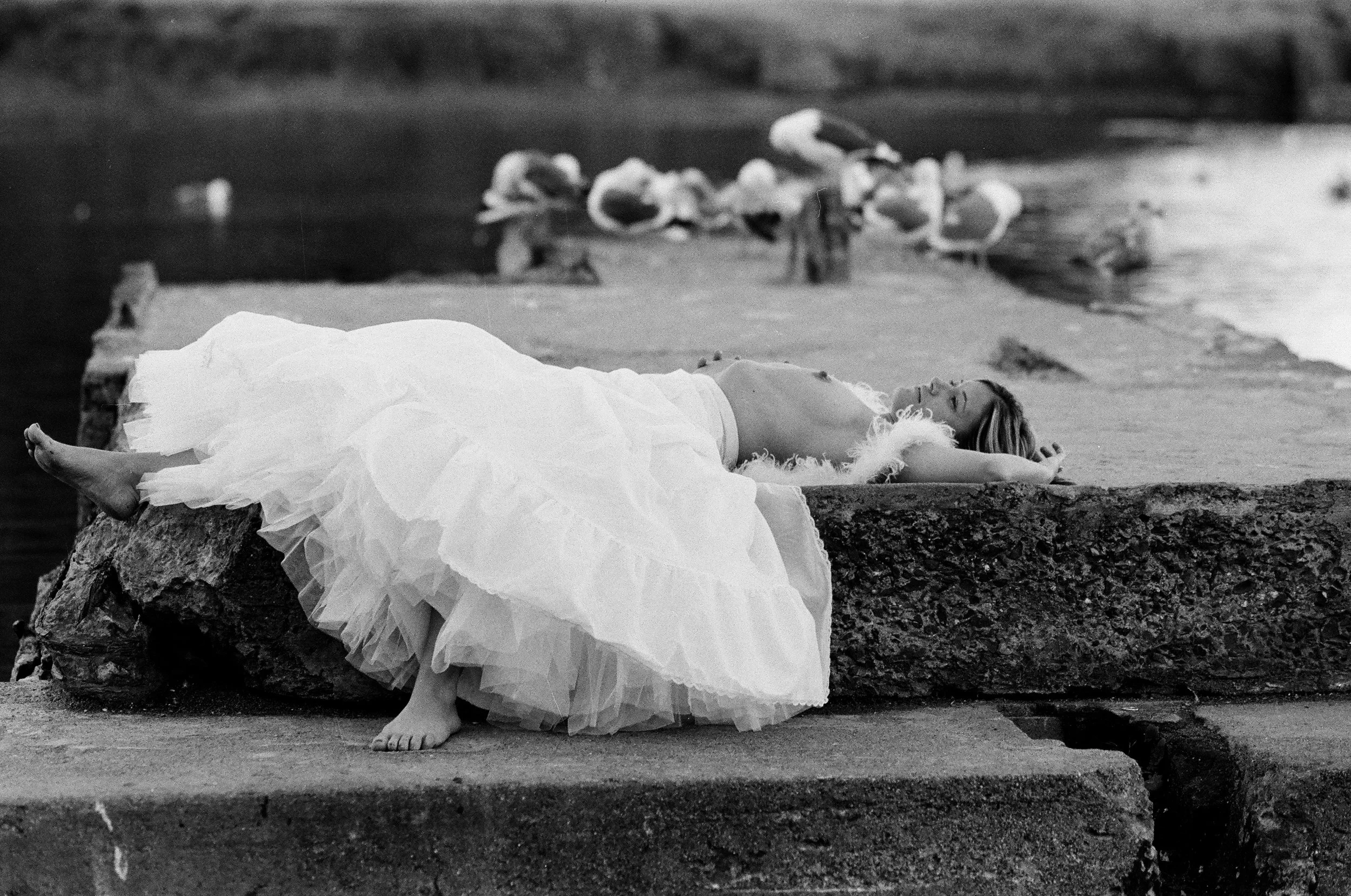 white dress-concrete-birds-00010036.jpeg