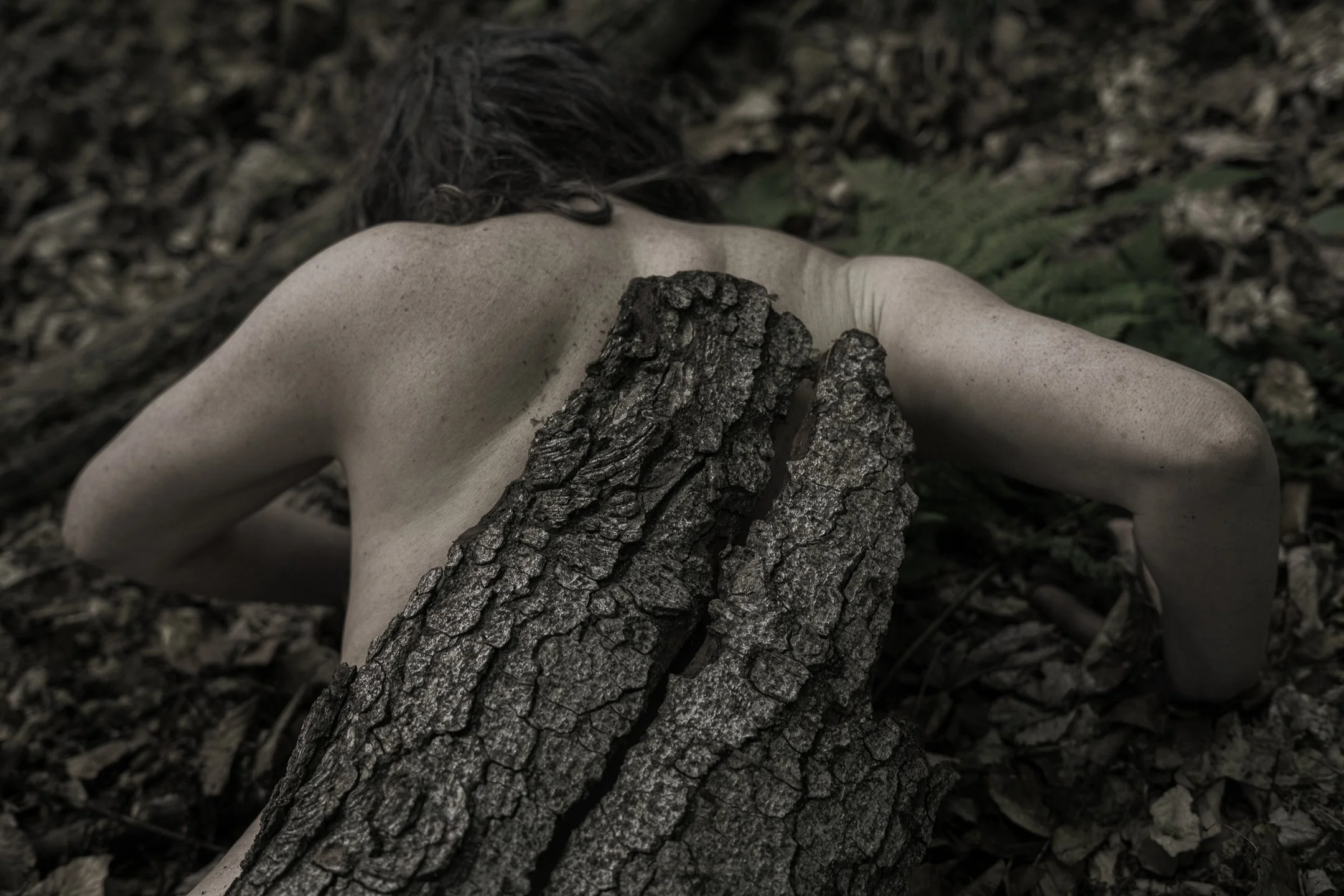 Skin and Bark