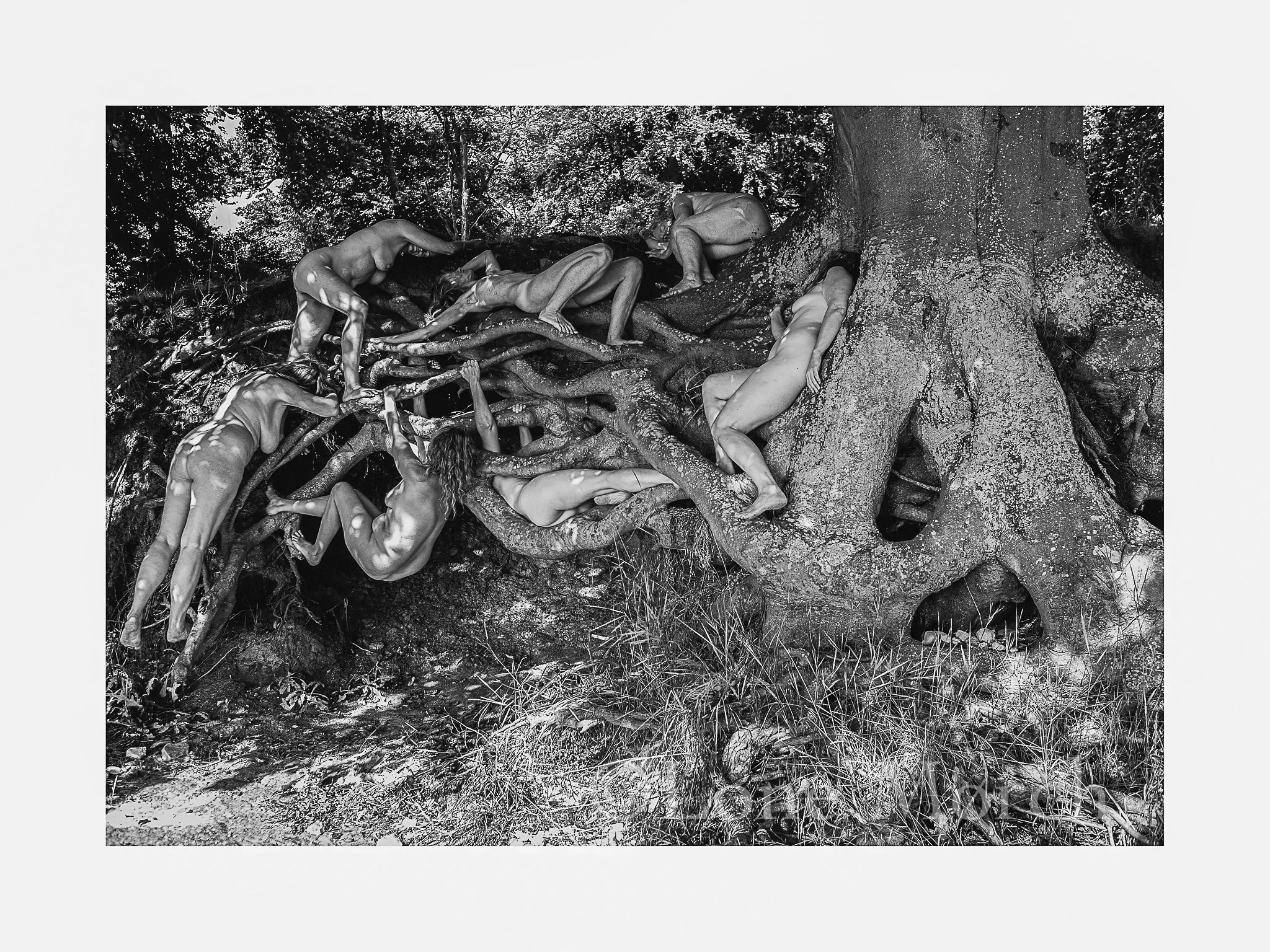 Lone Morch_2026-29.jpg