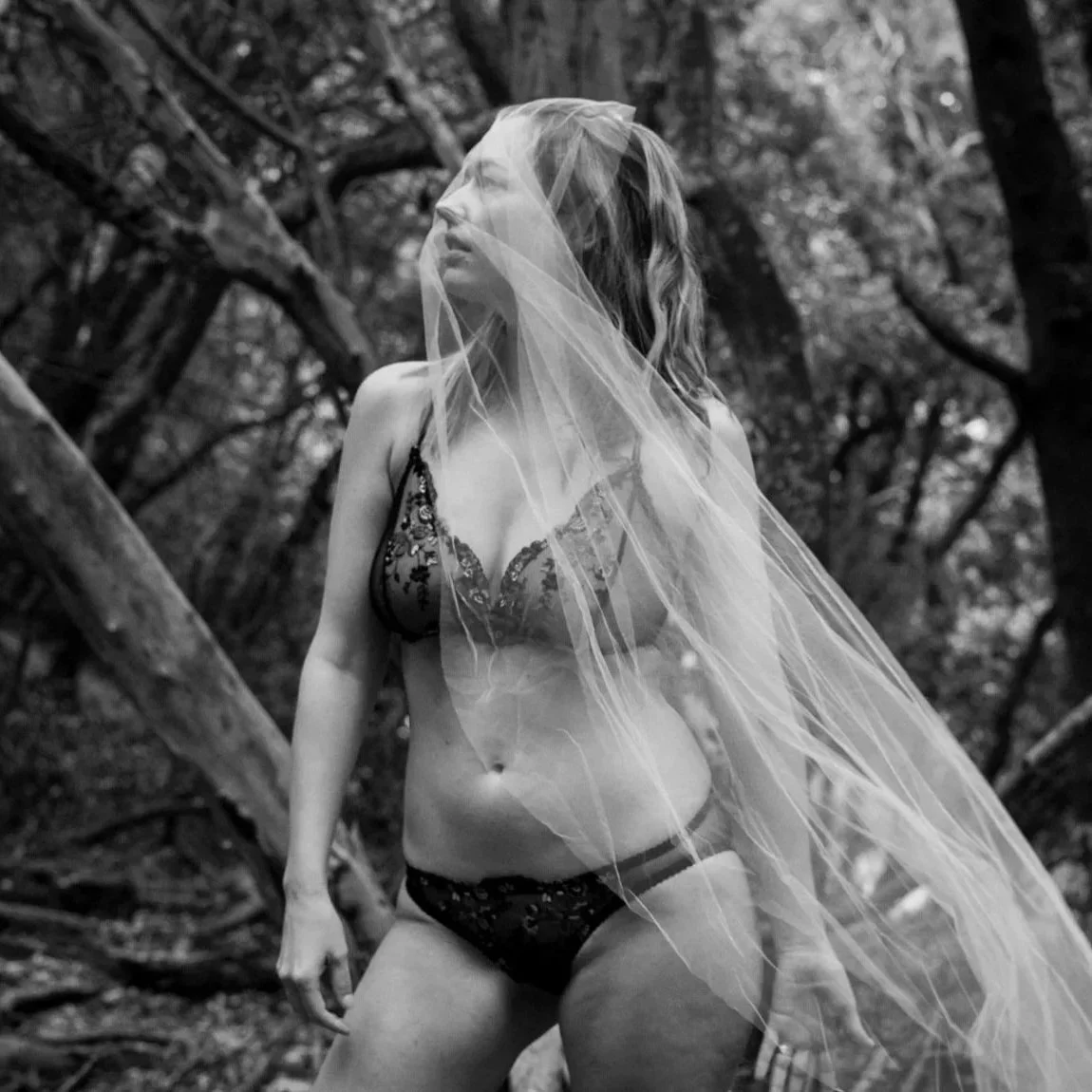 Client Work Examples