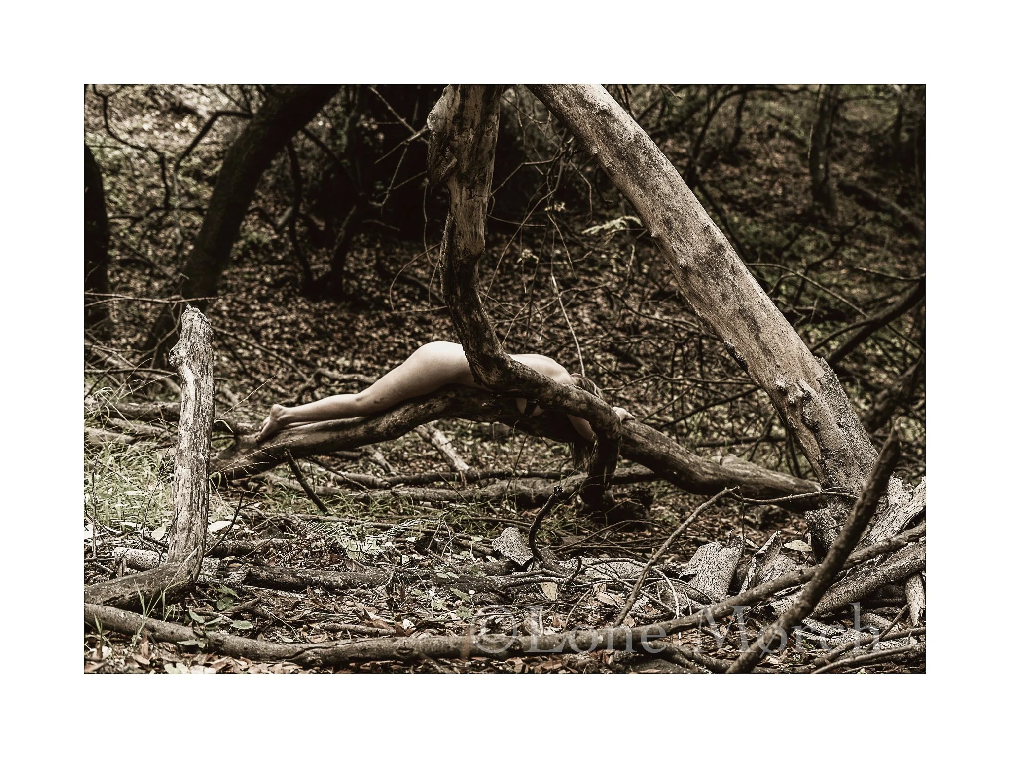 Lone Morch_2026-23.jpg