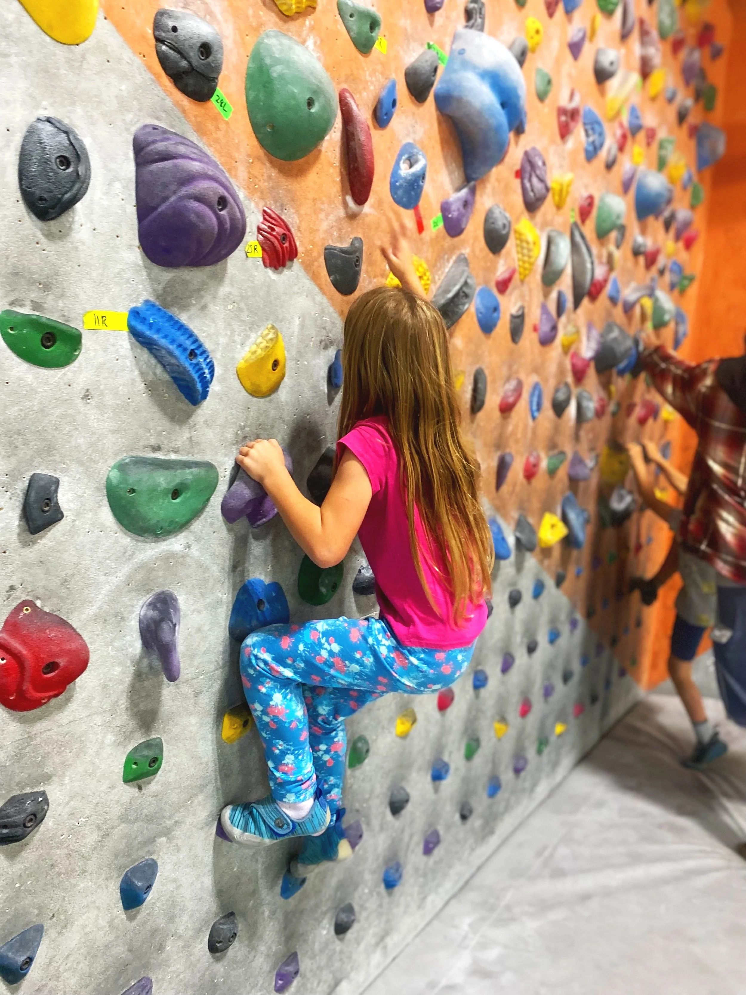 Indoor Rock Climbing Wall