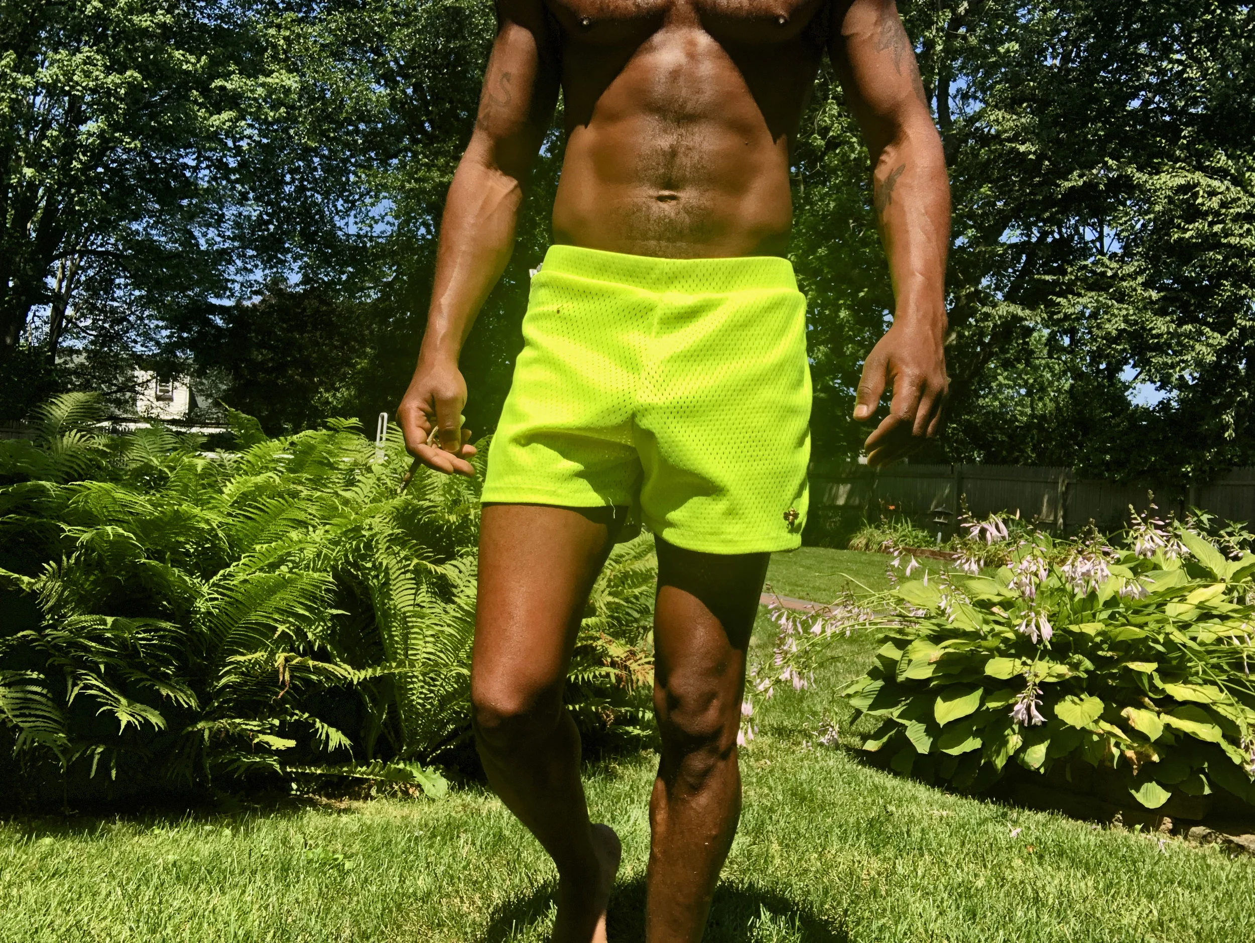 barth trunks 5.jpg