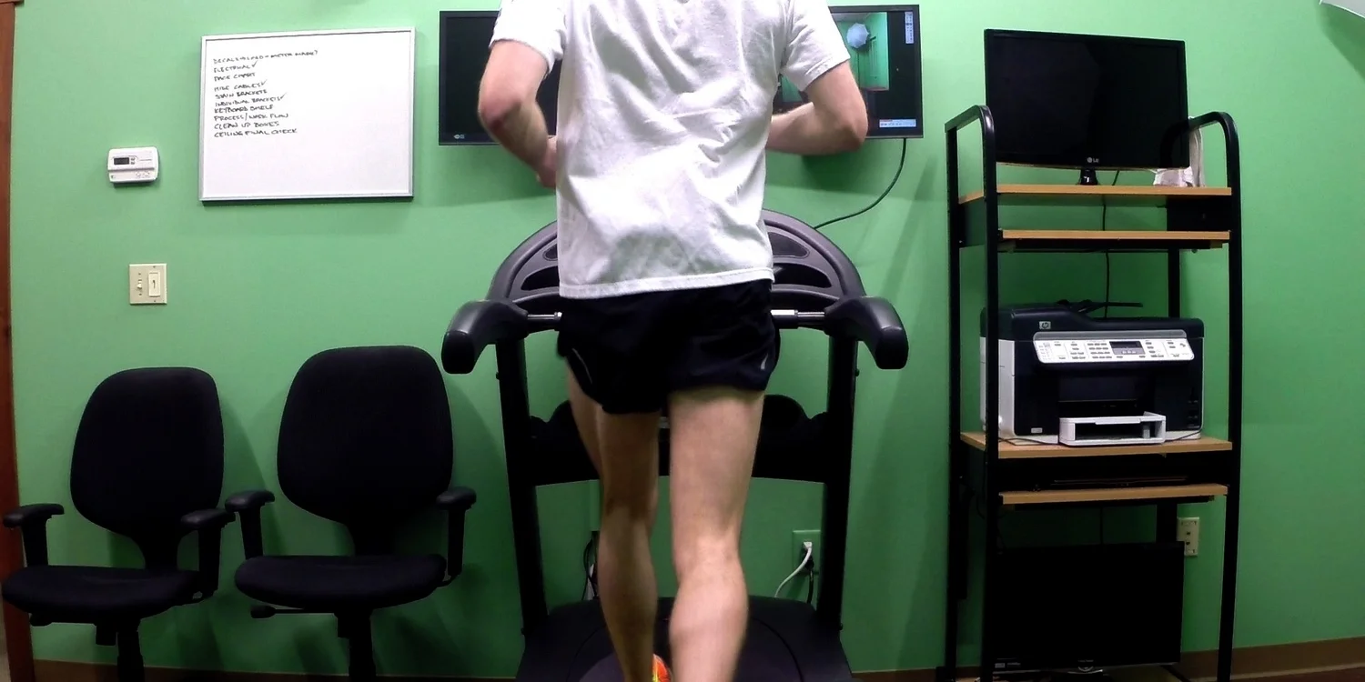 Posterior.jpg