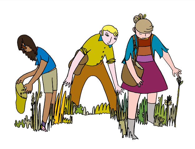 header-illustration.jpg