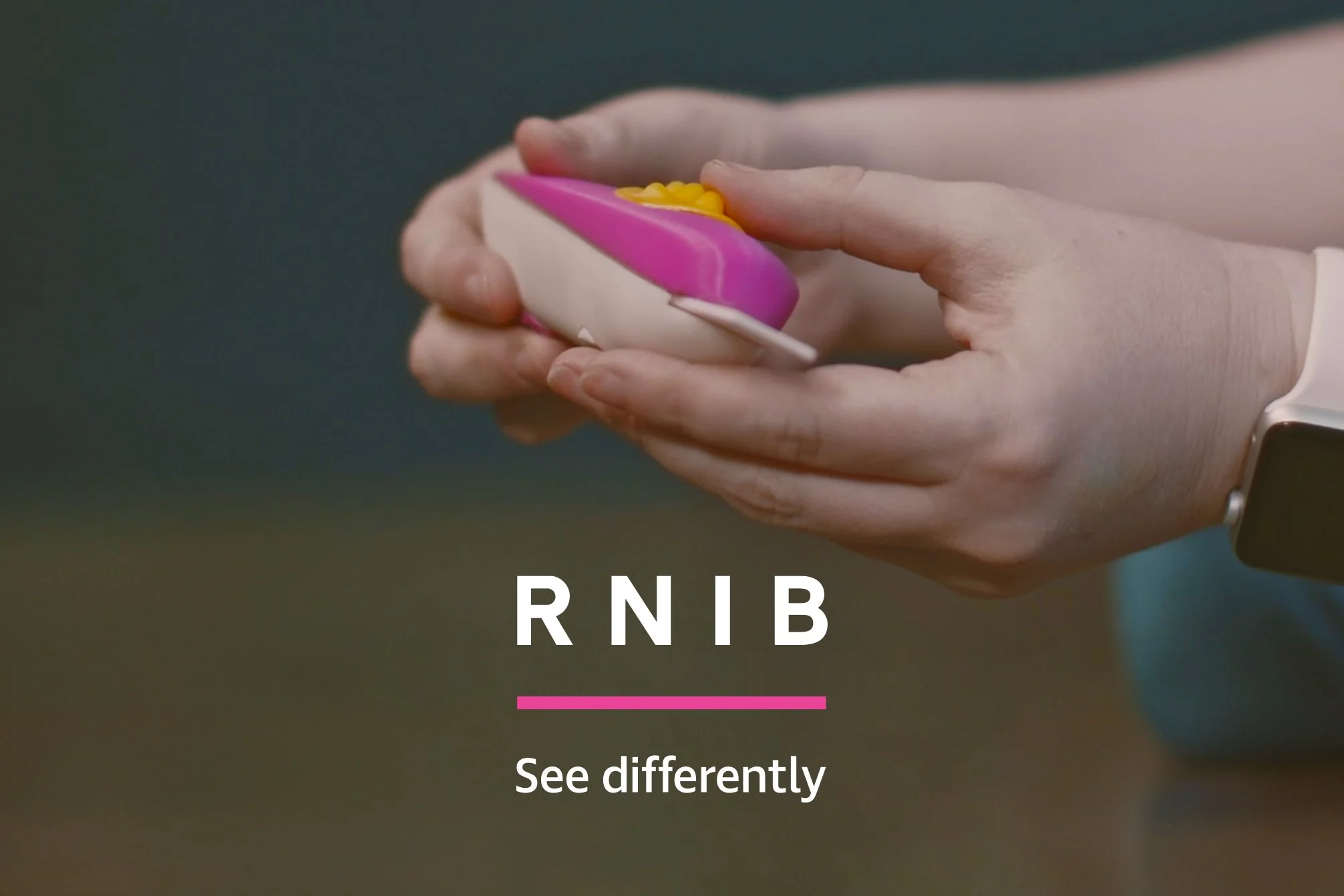 RNIB_thumbnail.jpg