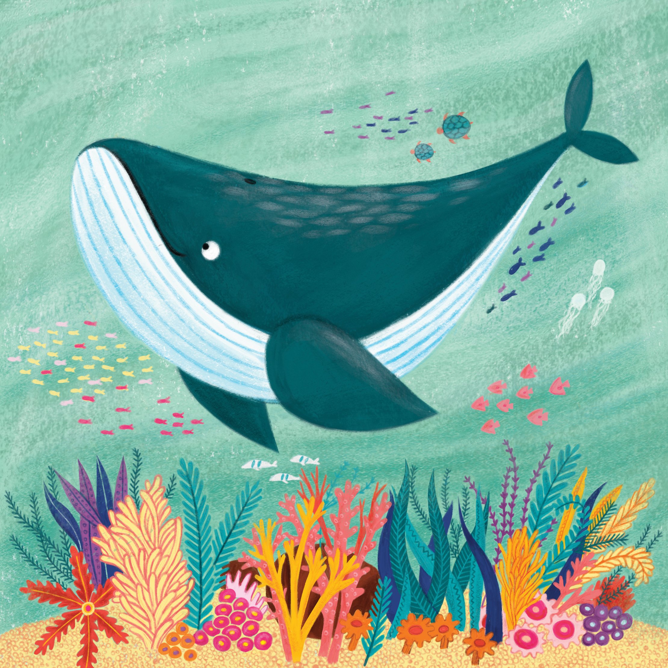 whale_final.jpg
