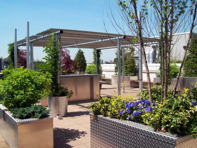 Gardens to date - 086 copy copy.jpg