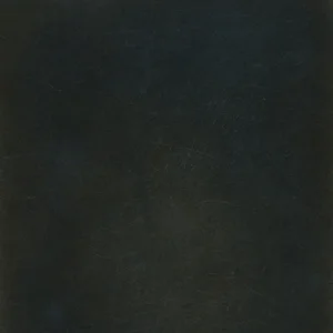 blackened stainless steel