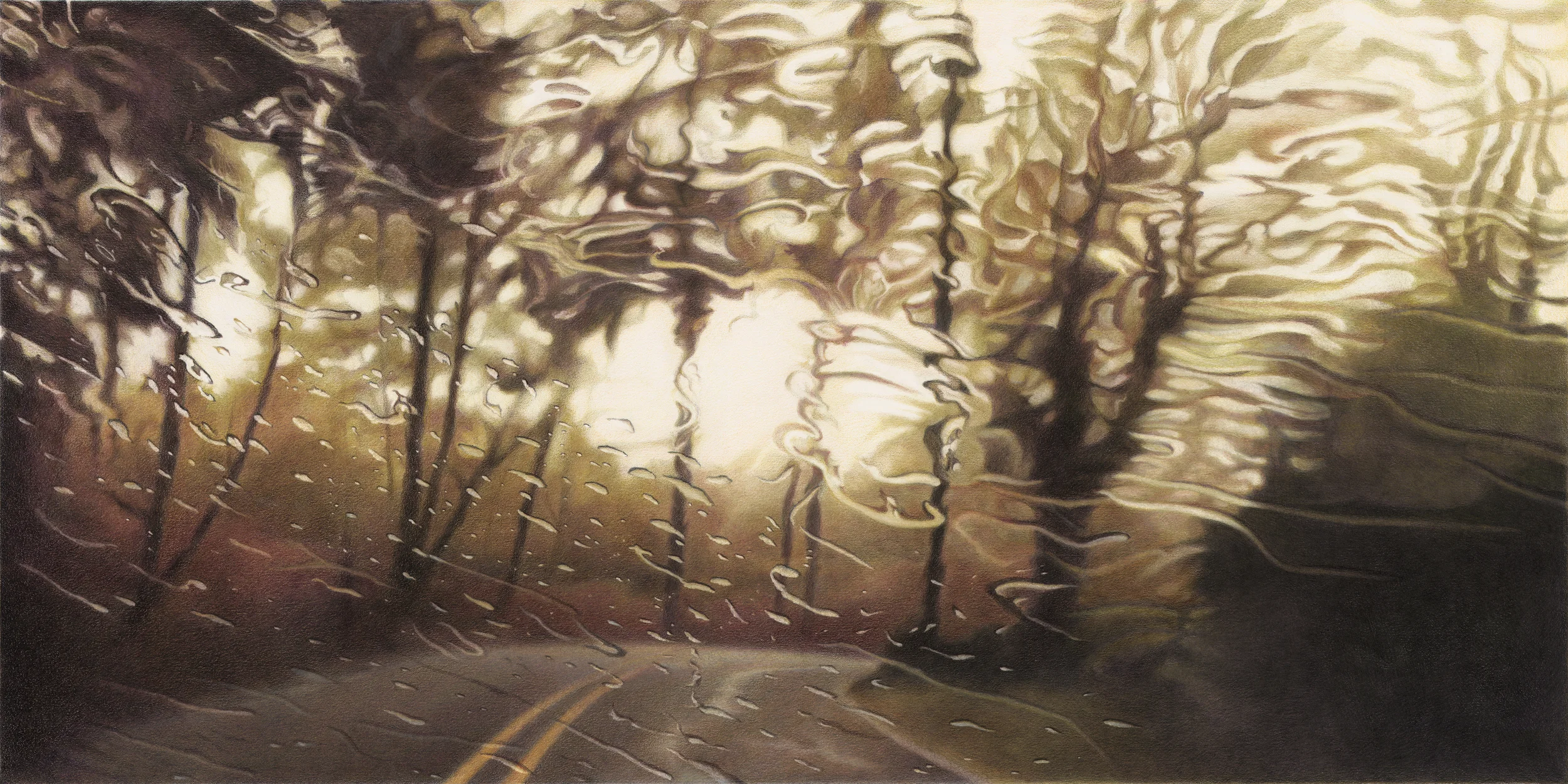 Elizabeth Patterson, Idleman Road, 3PM, 2010, color pencil, graphite and solvent on Strathmore Bristol Vellum, 20 x 34 inches