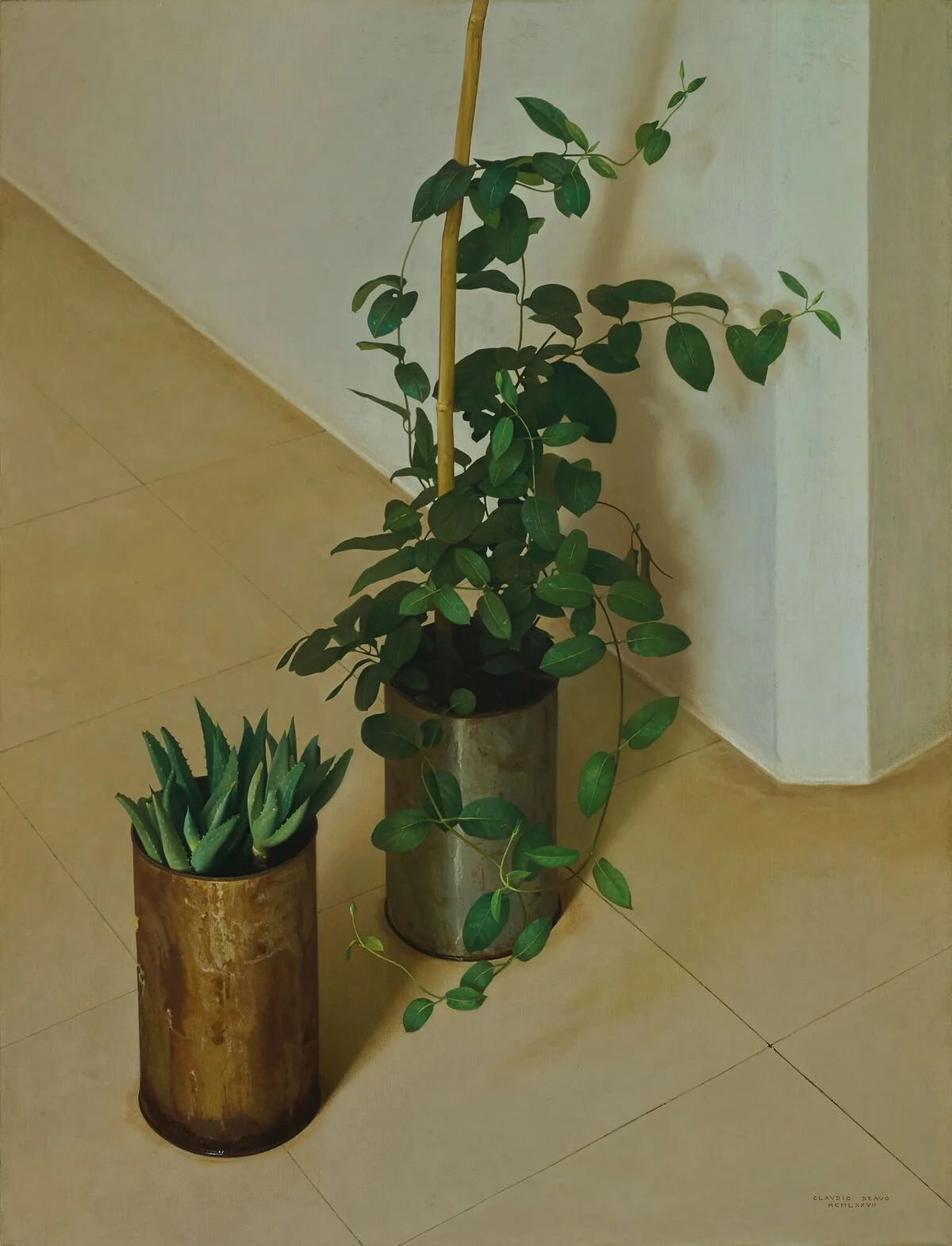 Claudio Bravo (1936-2011) Dos Plantas , 1977 oil on canvas 35 x 27 inches; 88.9 x 68.6 centimeters