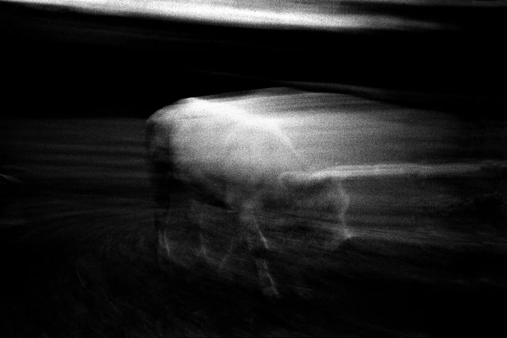 Jean-Francois Spricigo anima 037 , 2009 digital print 15 3/4 x 23 5/8 inches; 40 x 60